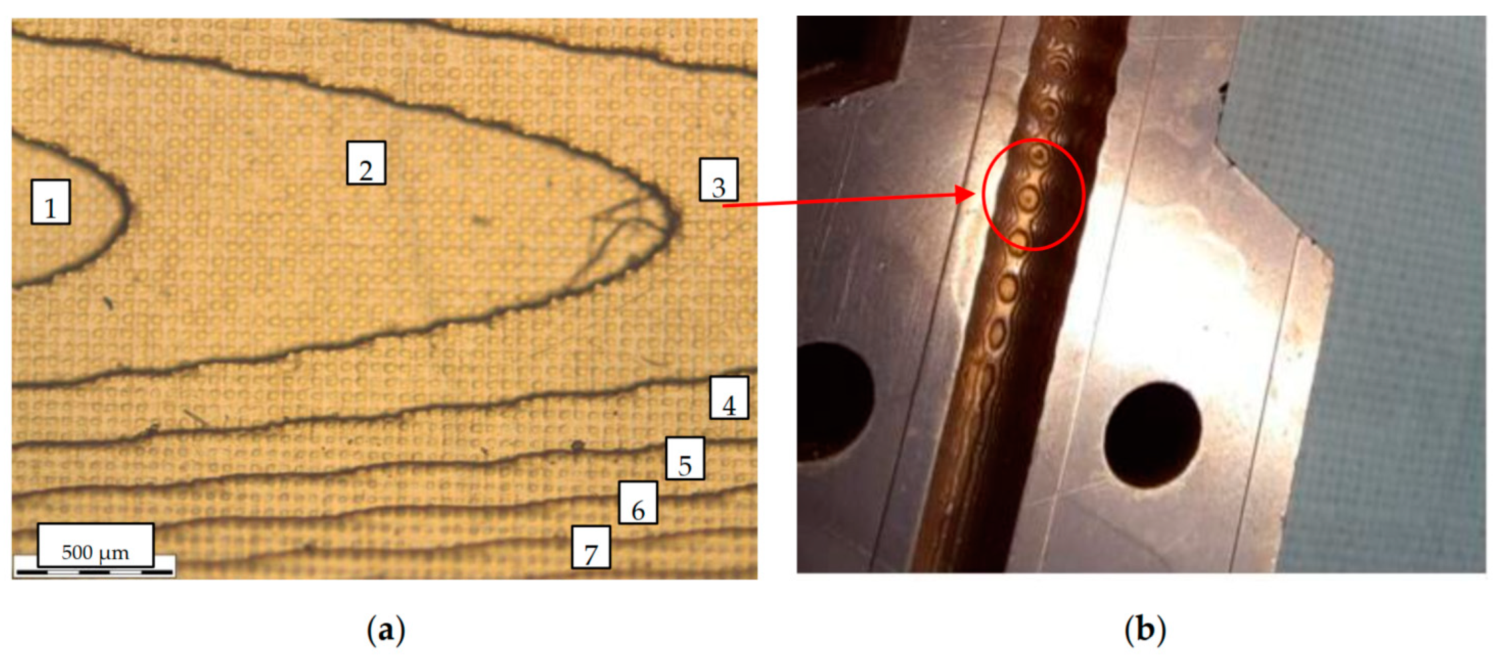Micromachines 14 01897 g003