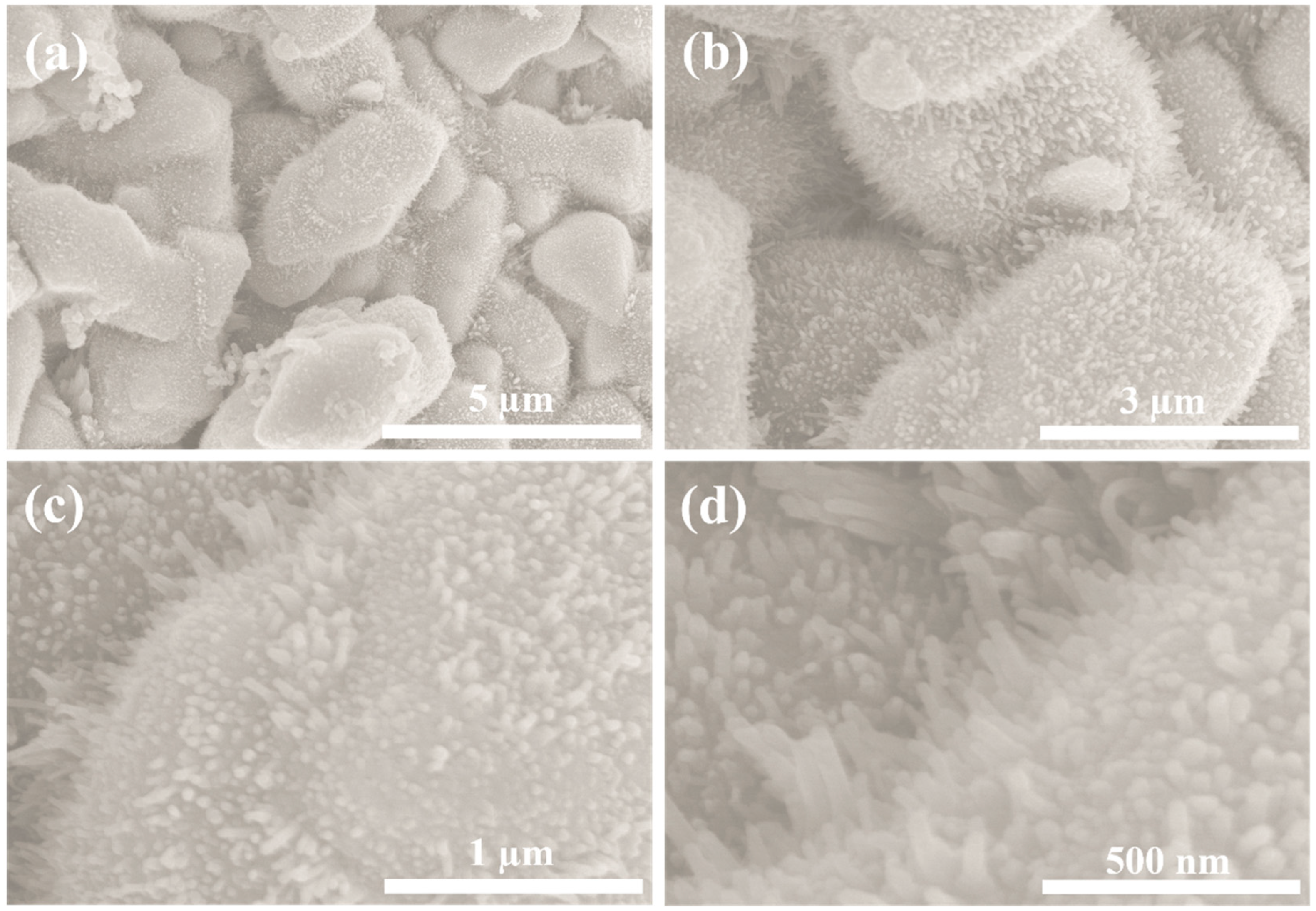 Micromachines 14 01905 g002