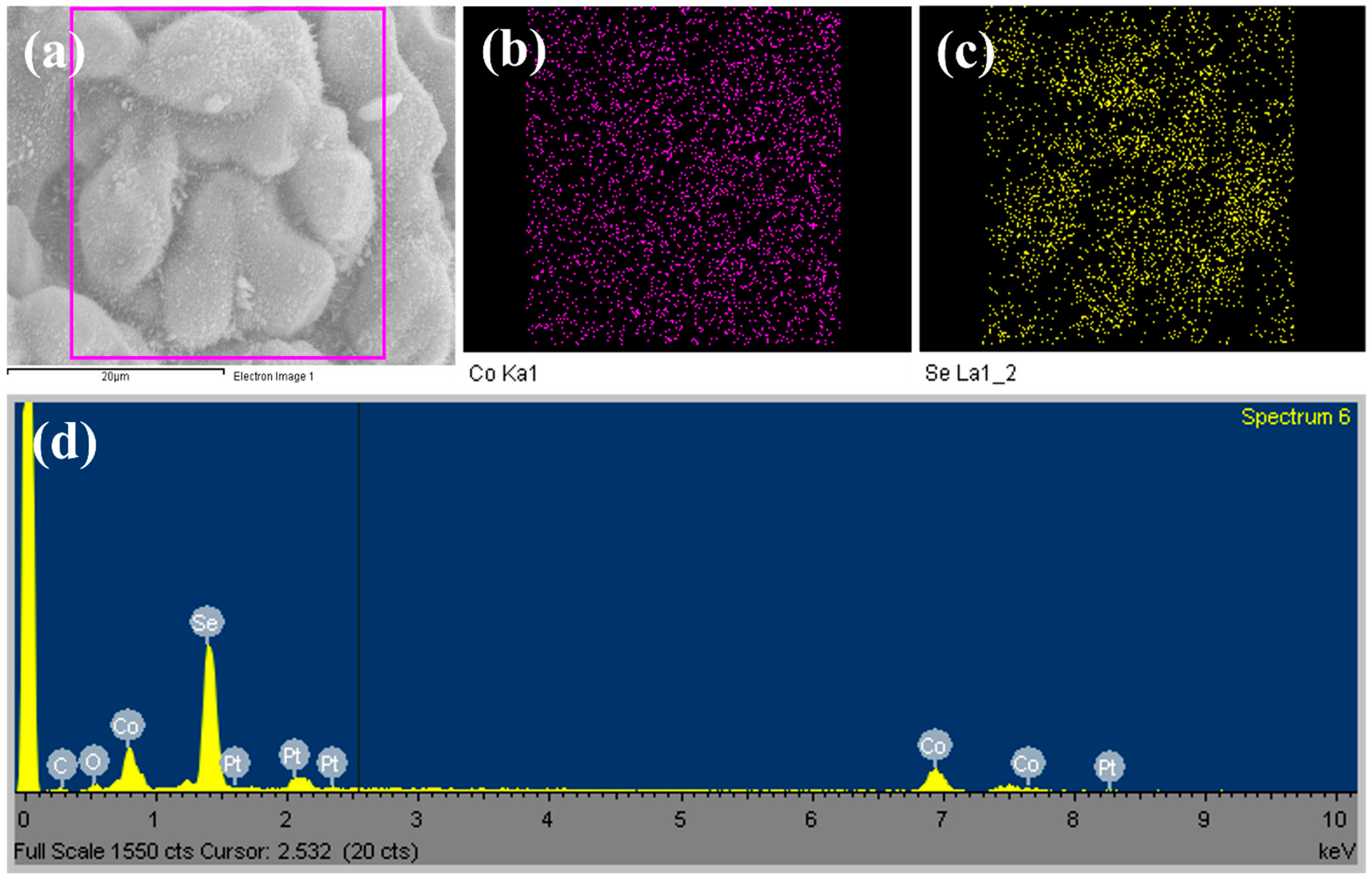 Micromachines 14 01905 g003