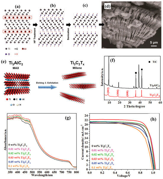 Titanium Carbide (Ti3C2Tx) MXene as Efficient Electron/Hole