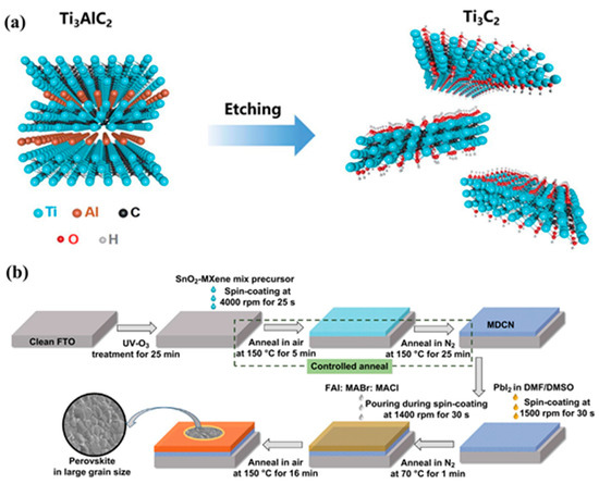 Titanium Carbide (Ti3C2Tx) MXene as Efficient Electron/Hole