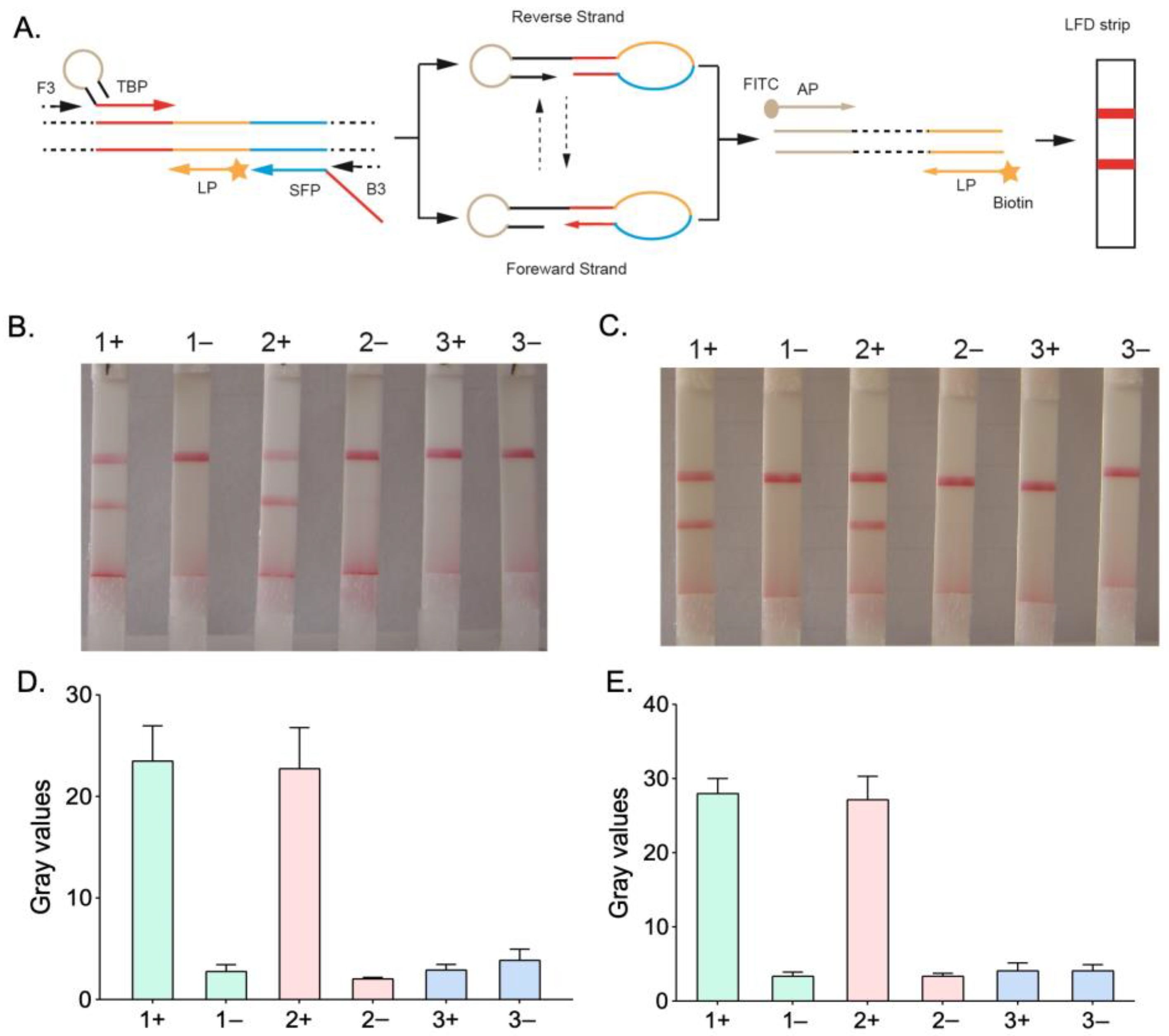 Micromachines 14 01917 g001