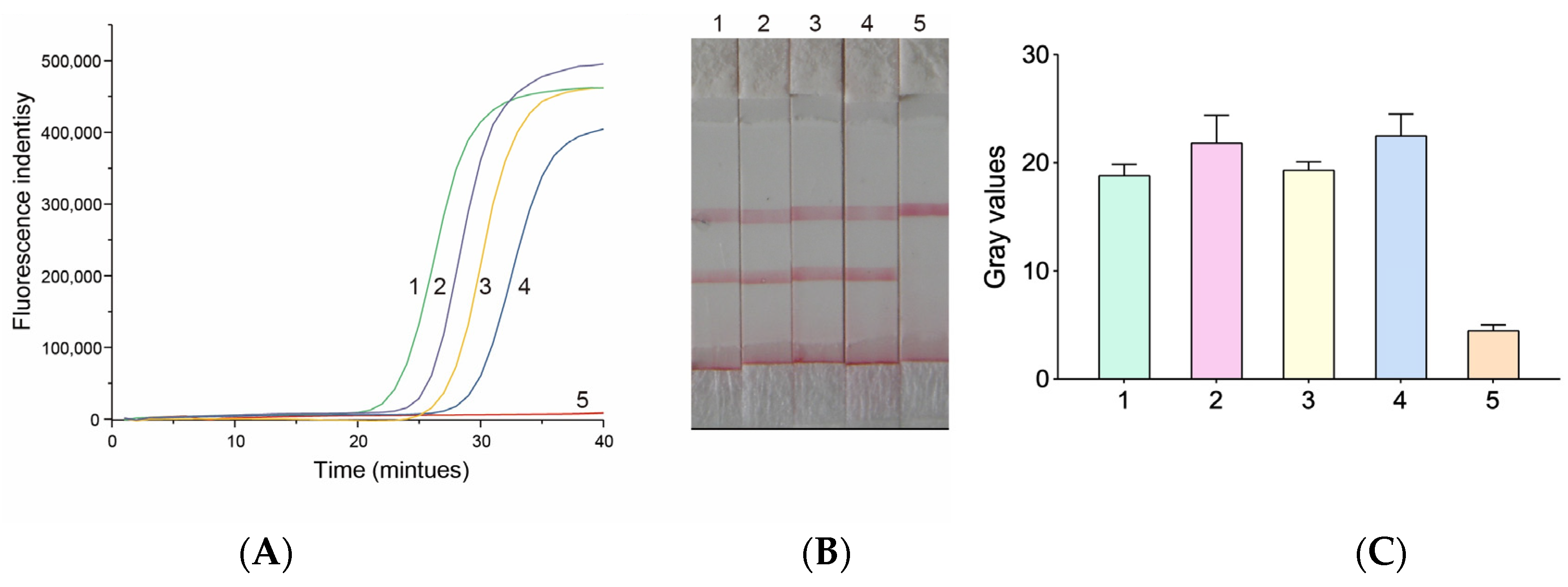 Micromachines 14 01917 g003