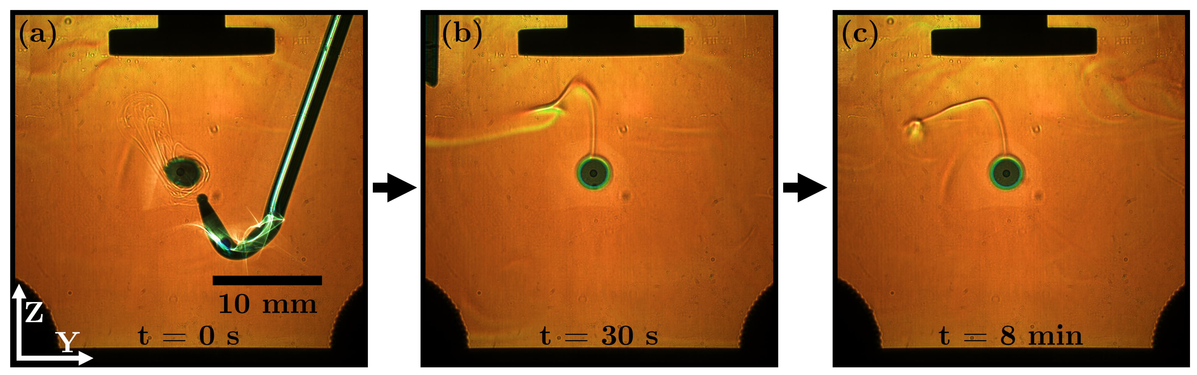 Micromachines 14 01923 g010