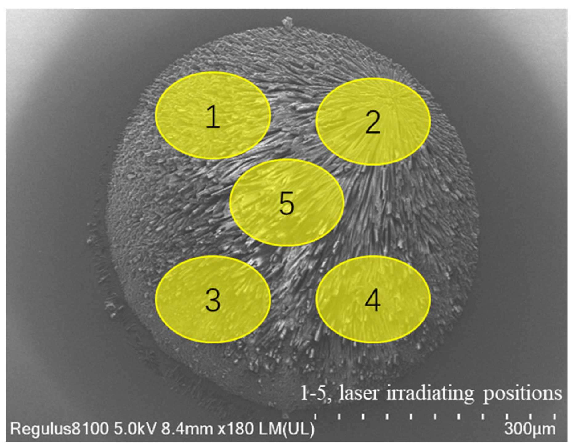 Micromachines 14 01938 g001