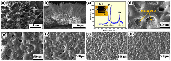 Flexible Piezoresistive Sensors from Polydimethylsiloxane Films with ...