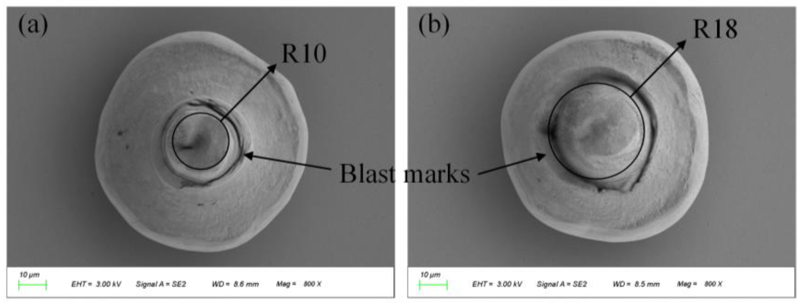 Micromachines 14 01957 g009