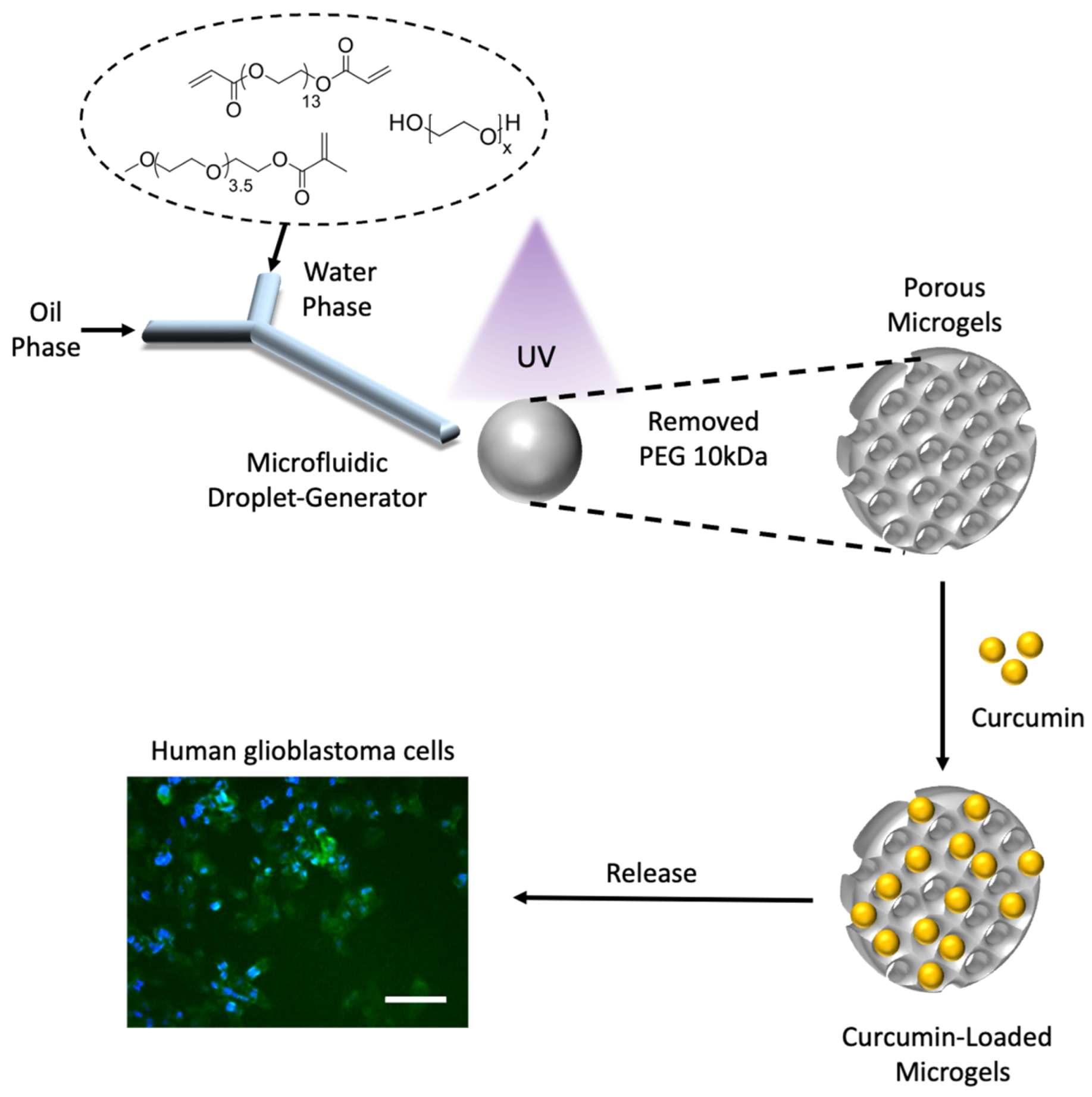 Micromachines 14 01969 g001