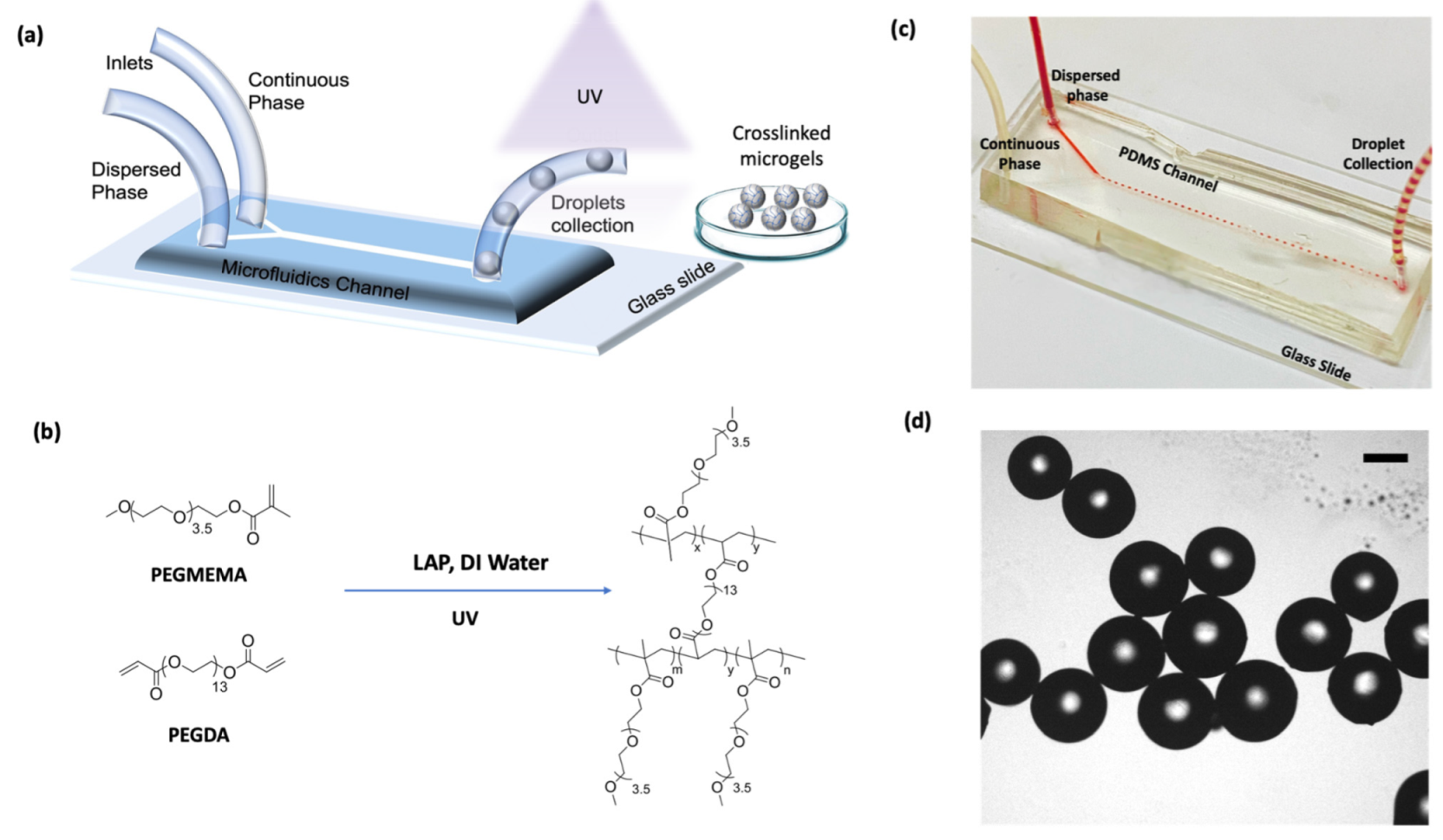 Micromachines 14 01969 g002