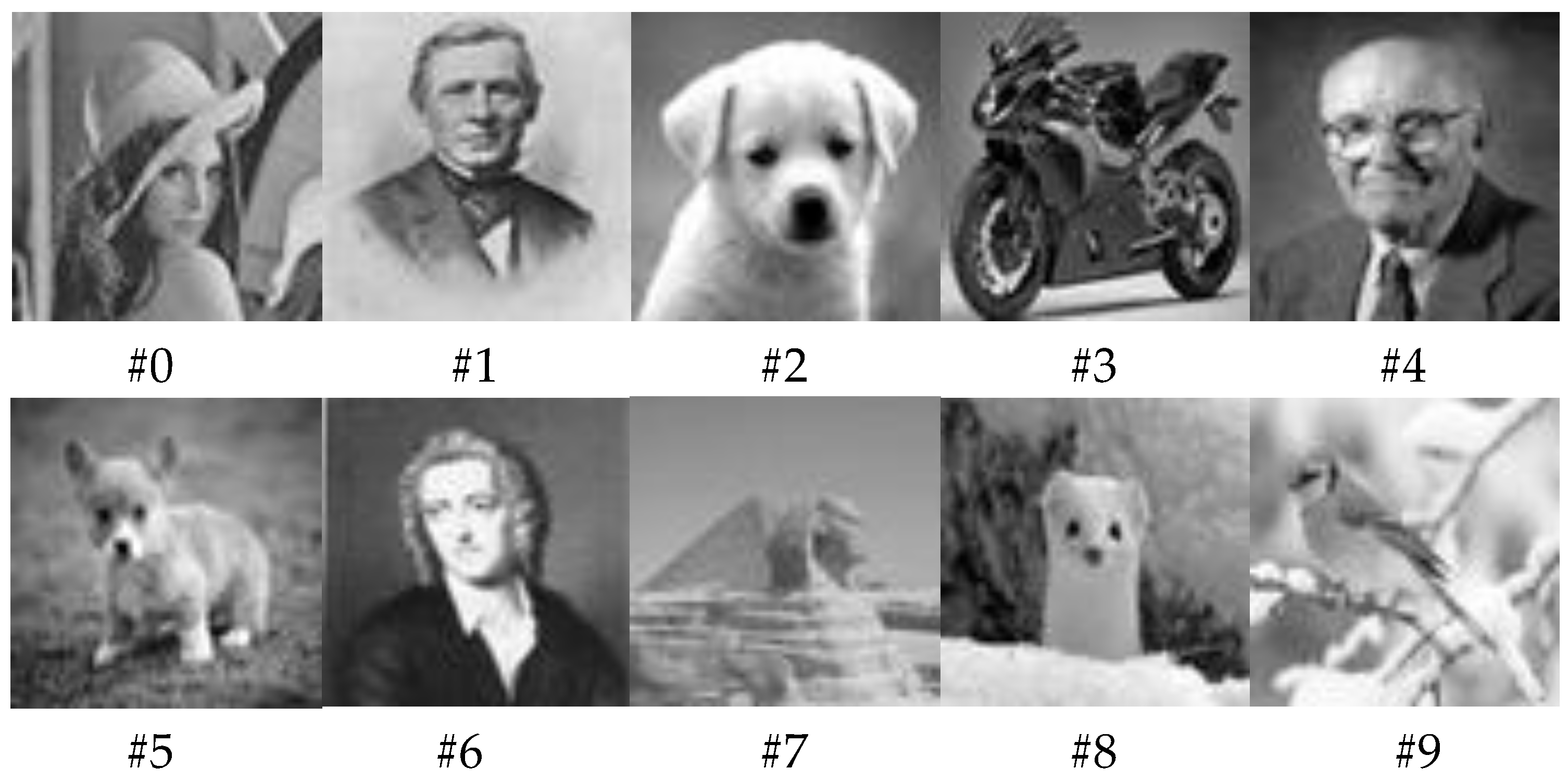 Micromachines 14 01990 g005