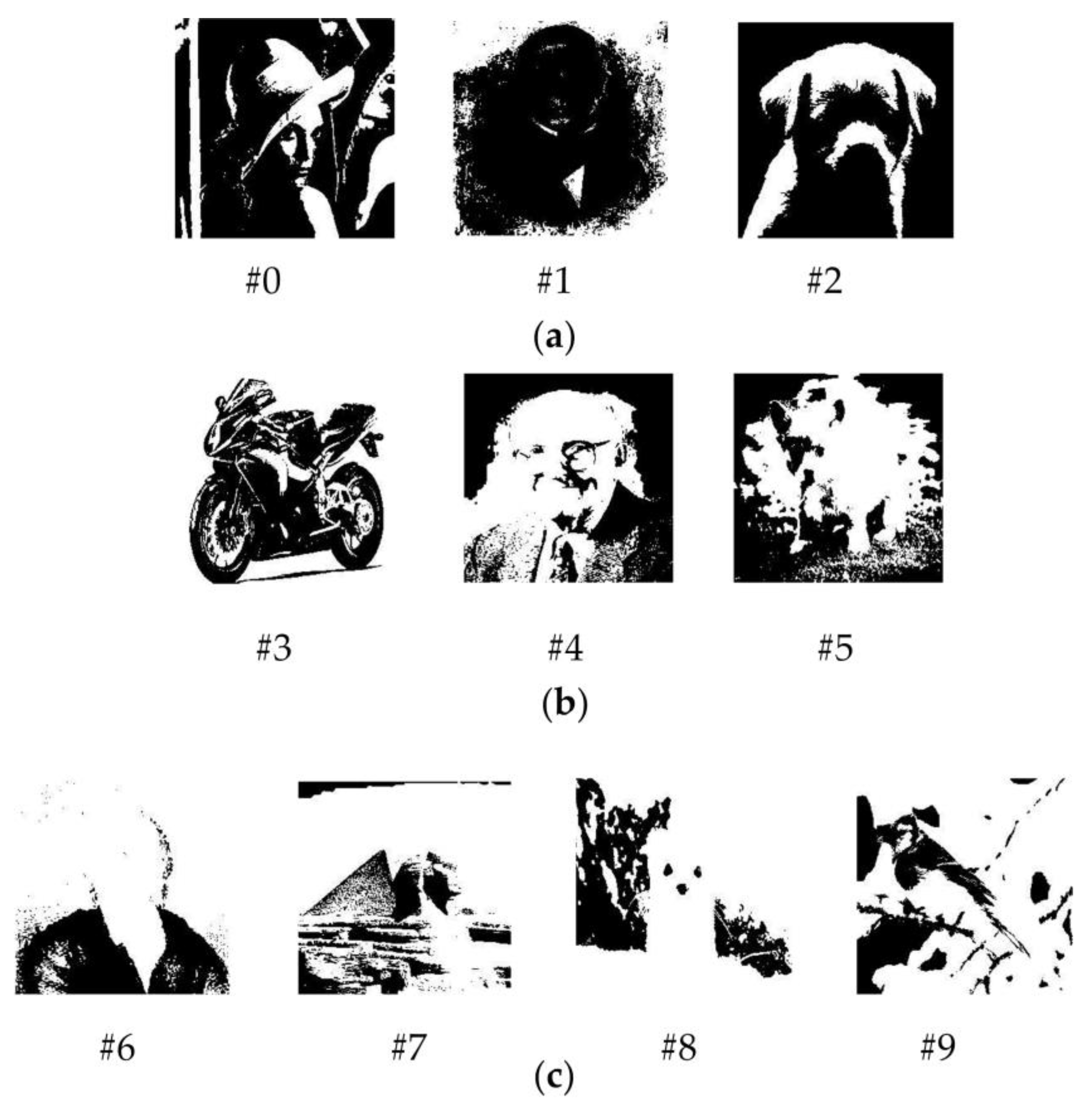 Micromachines 14 01990 g006
