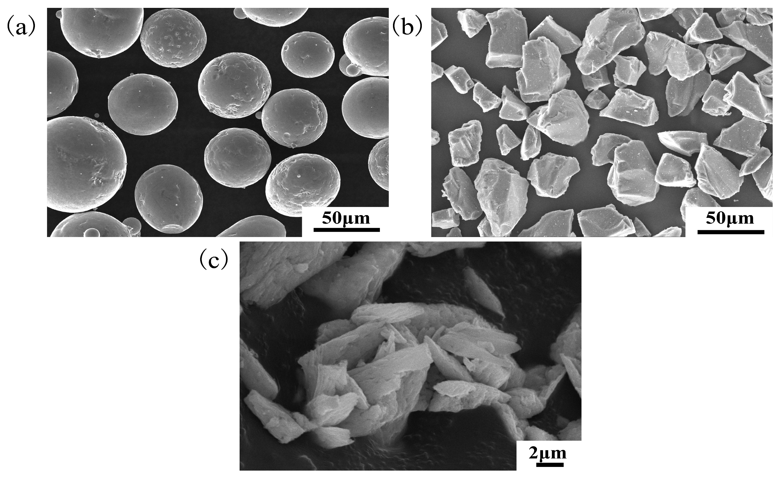 Micromachines 14 02017 g001
