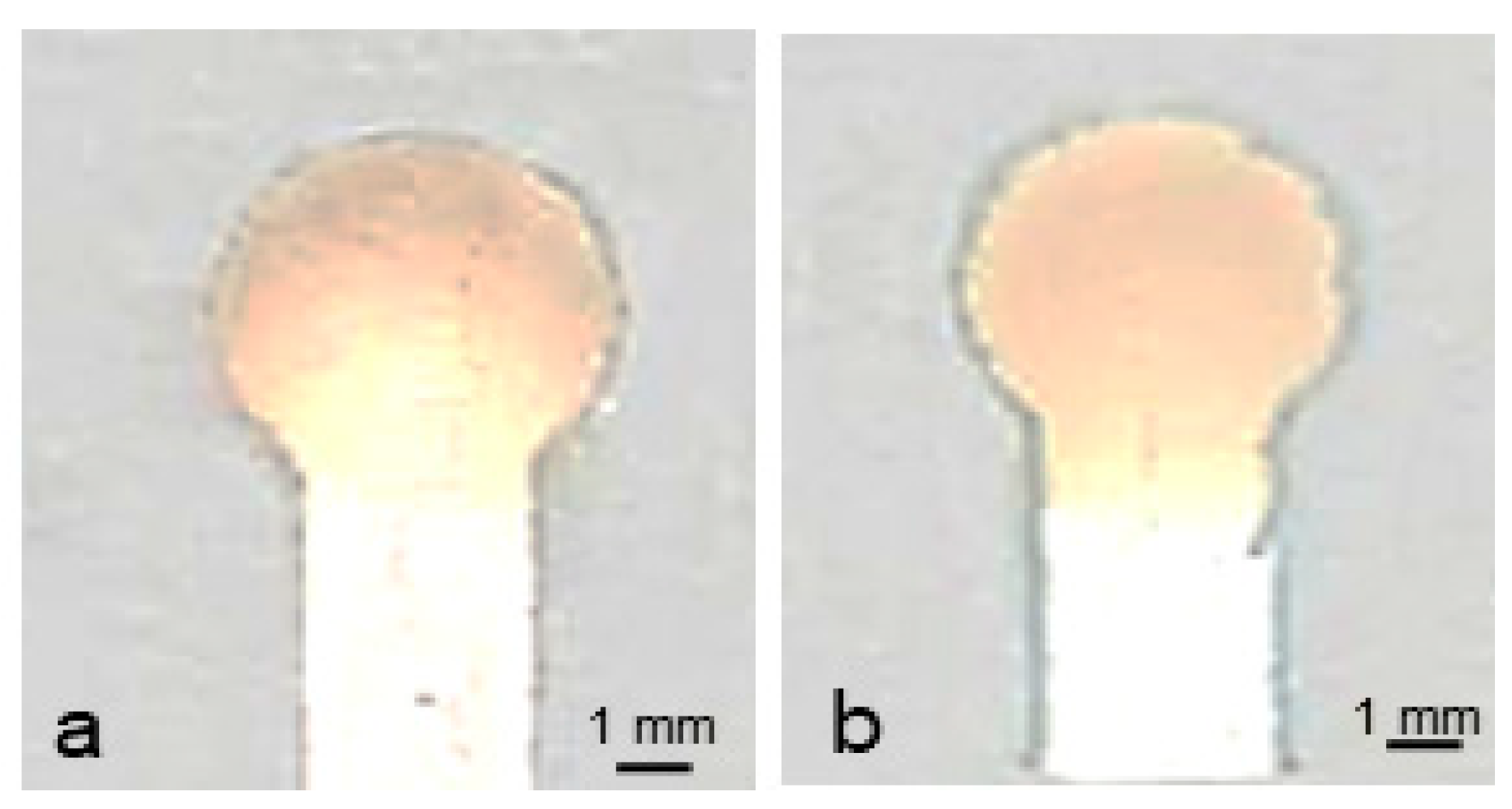 Micromachines 14 02059 g005