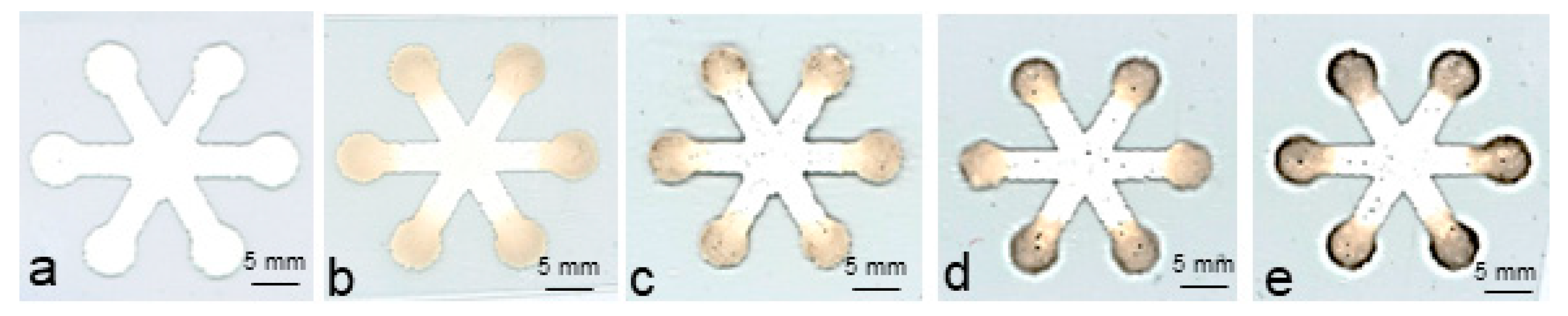 Micromachines 14 02059 g006