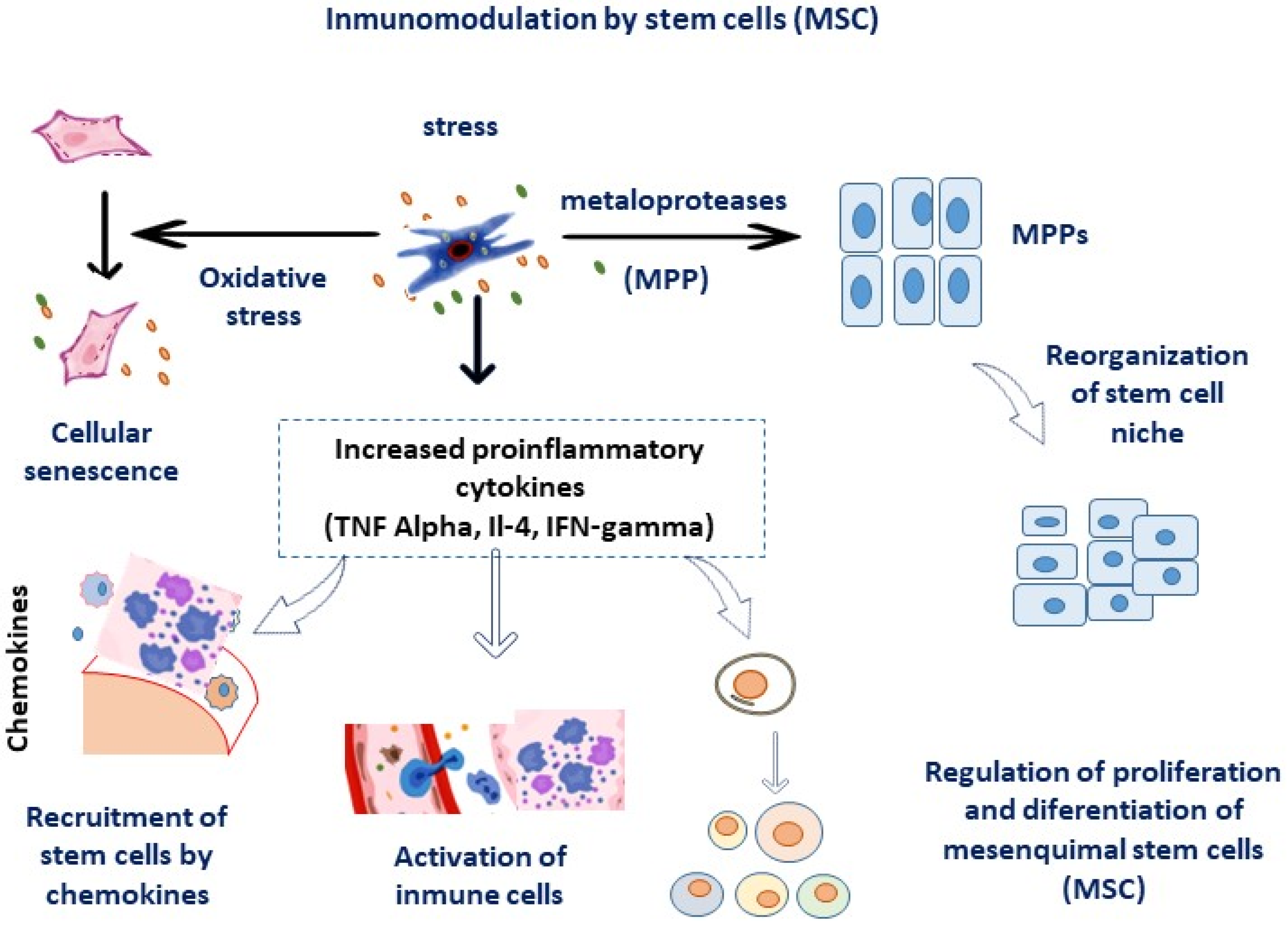 Micromachines 14 02068 g002 Micromachines 14 02068 g002