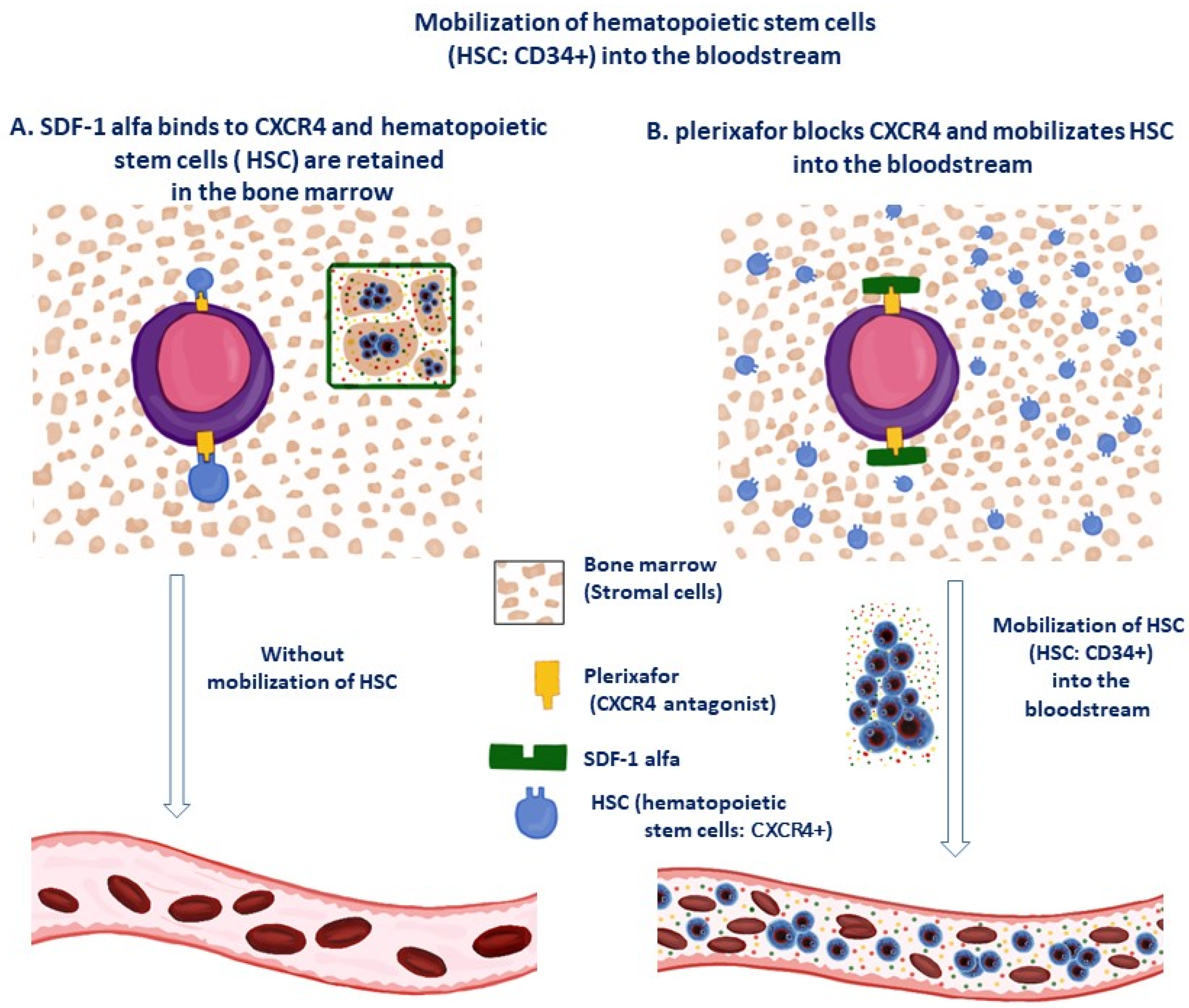 Micromachines 14 02068 g003 Micromachines 14 02068 g003