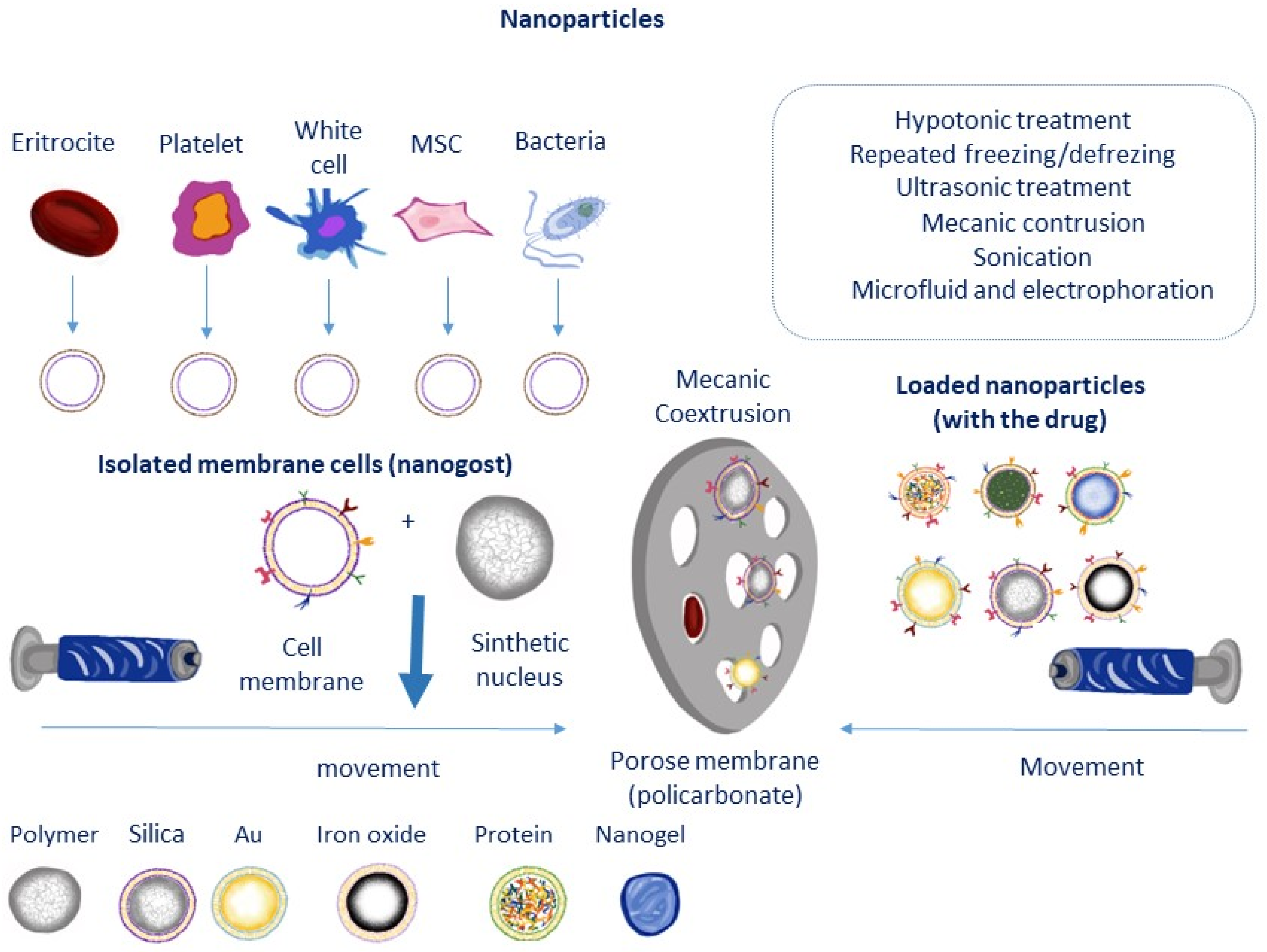 Micromachines 14 02068 g005 Micromachines 14 02068 g005