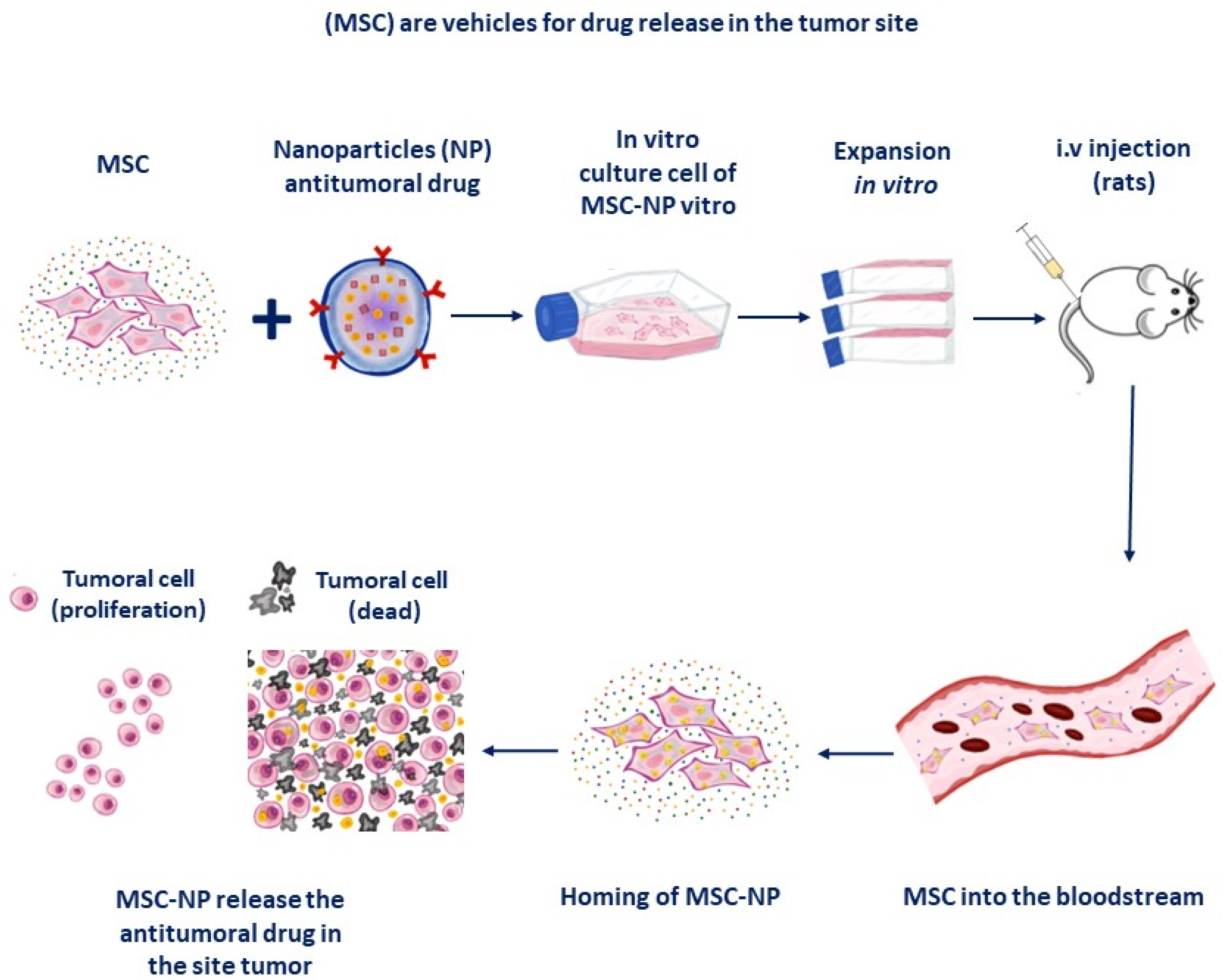 Micromachines 14 02068 g006 Micromachines 14 02068 g006