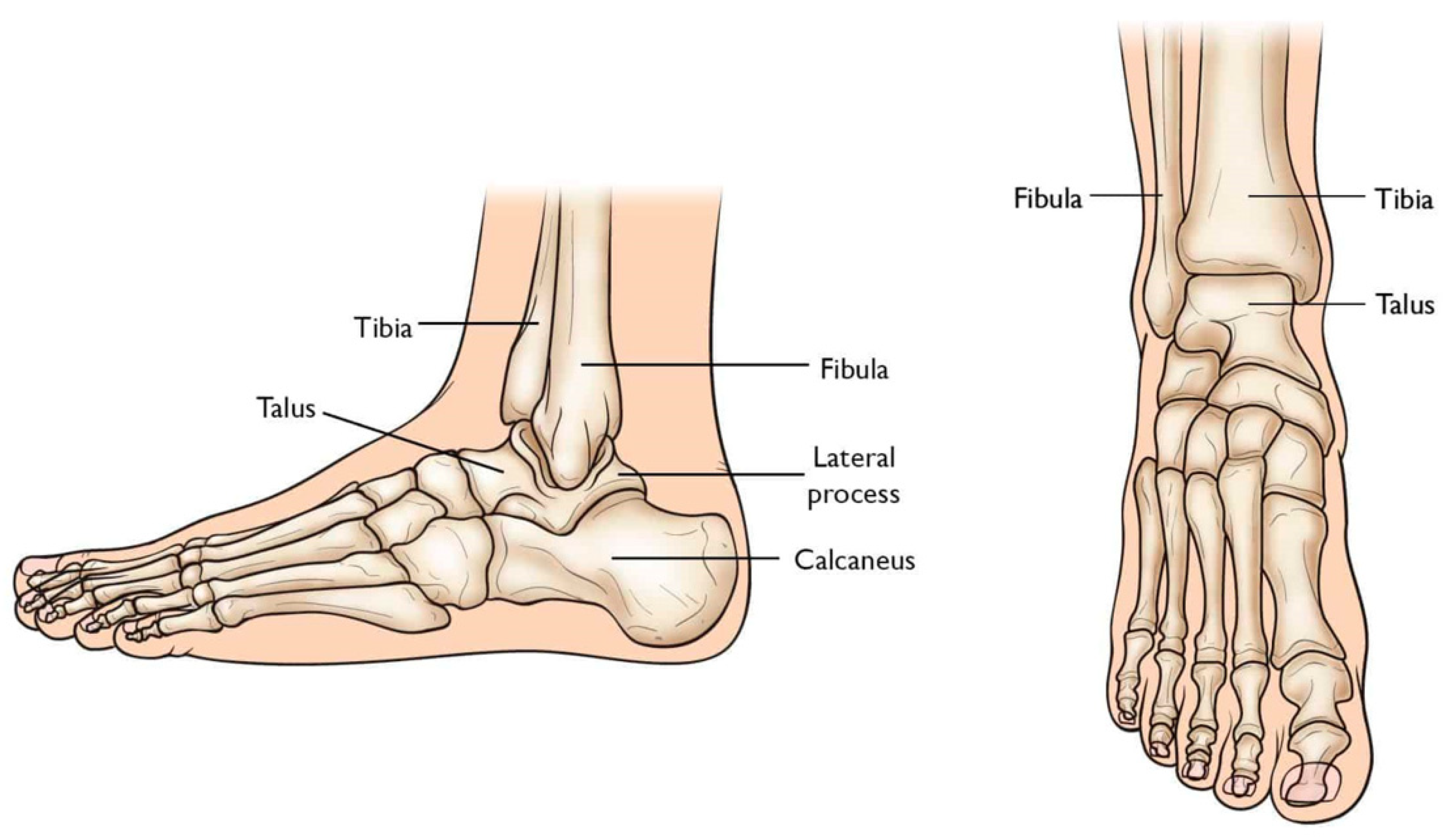 Micromachines 14 02081 g002