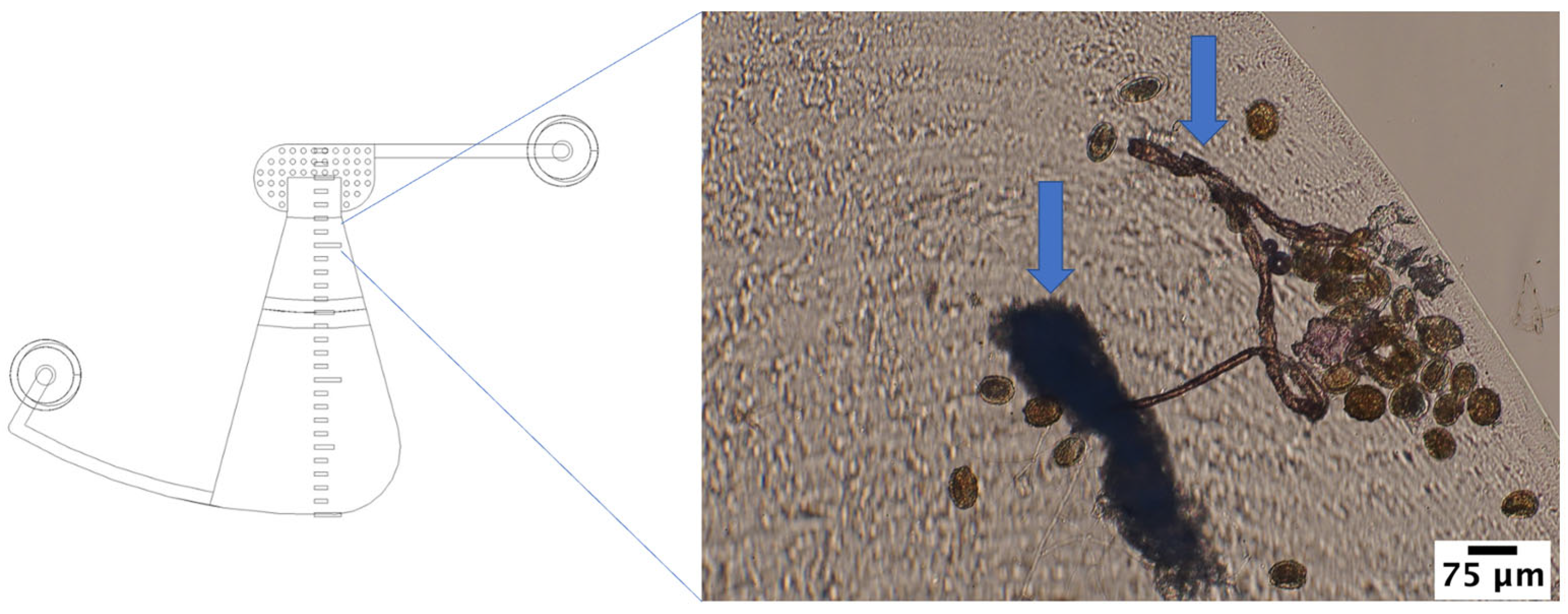 Micromachines 14 02087 g009