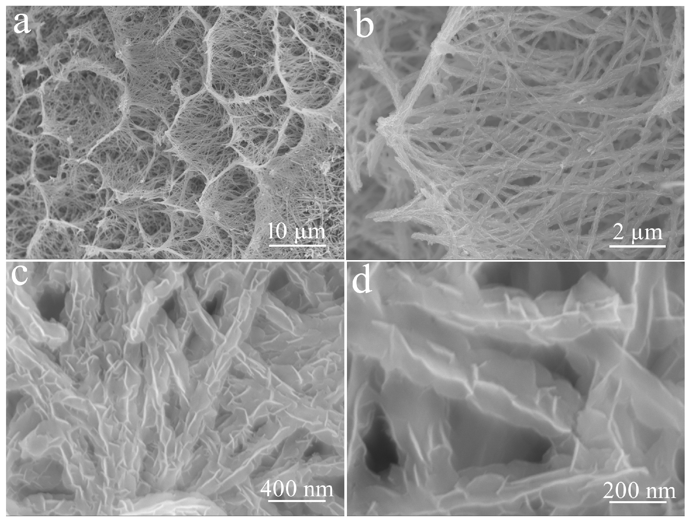 Micromachines 14 02095 g005