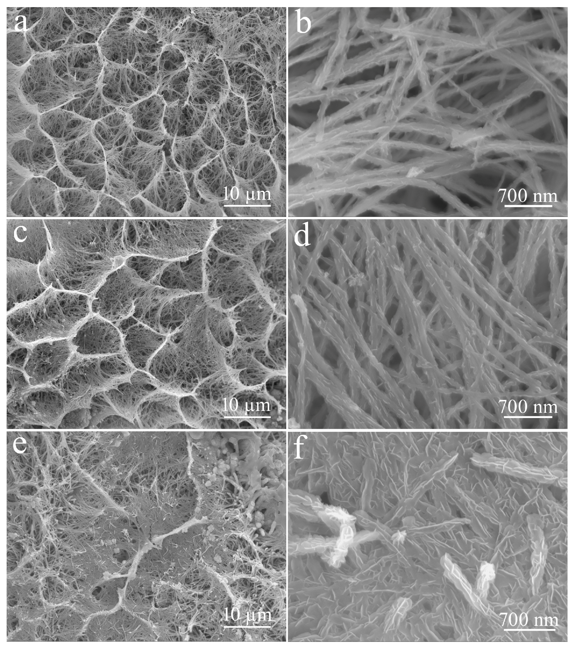 Micromachines 14 02095 g007
