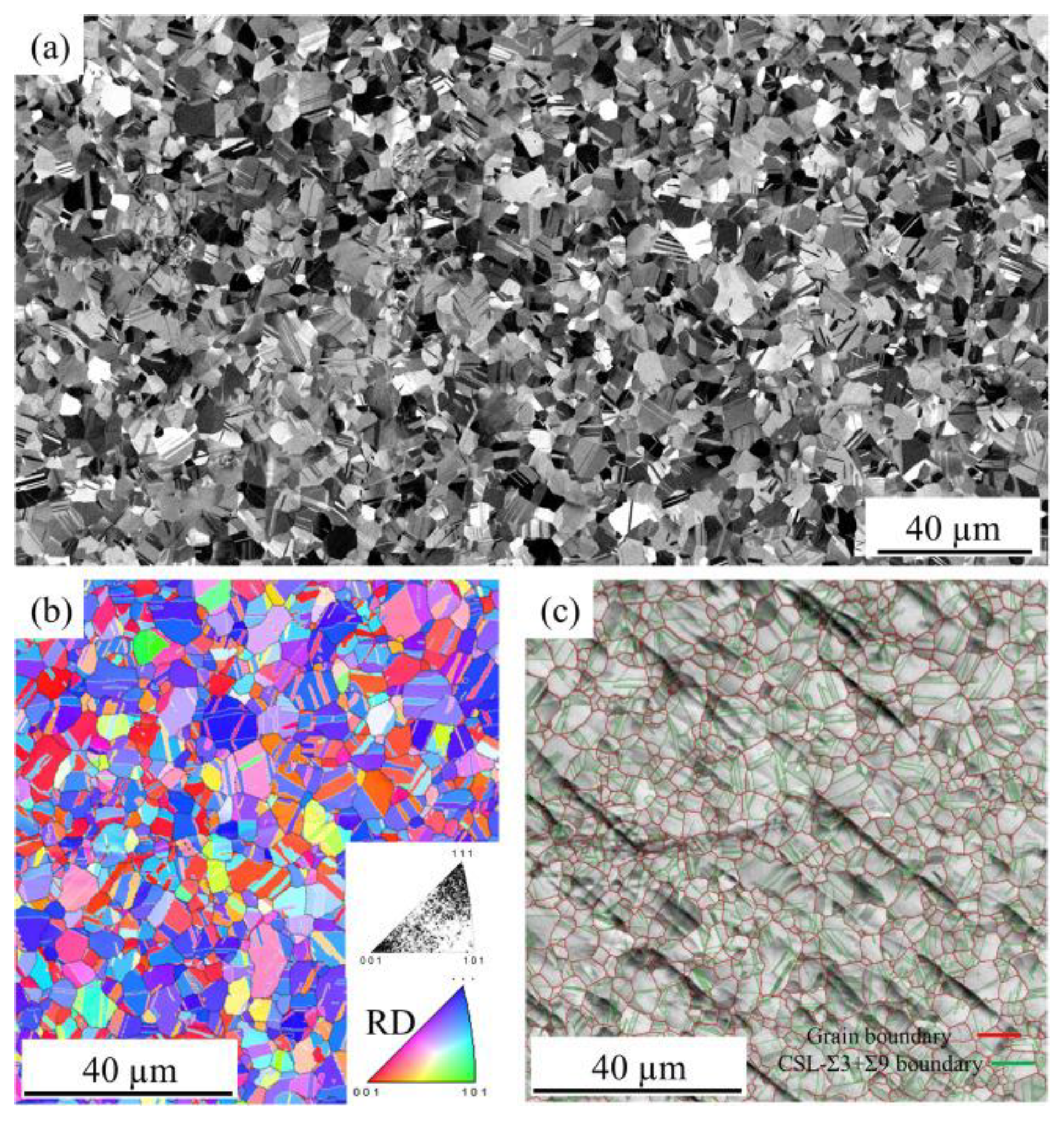 Micromachines 14 02129 g006