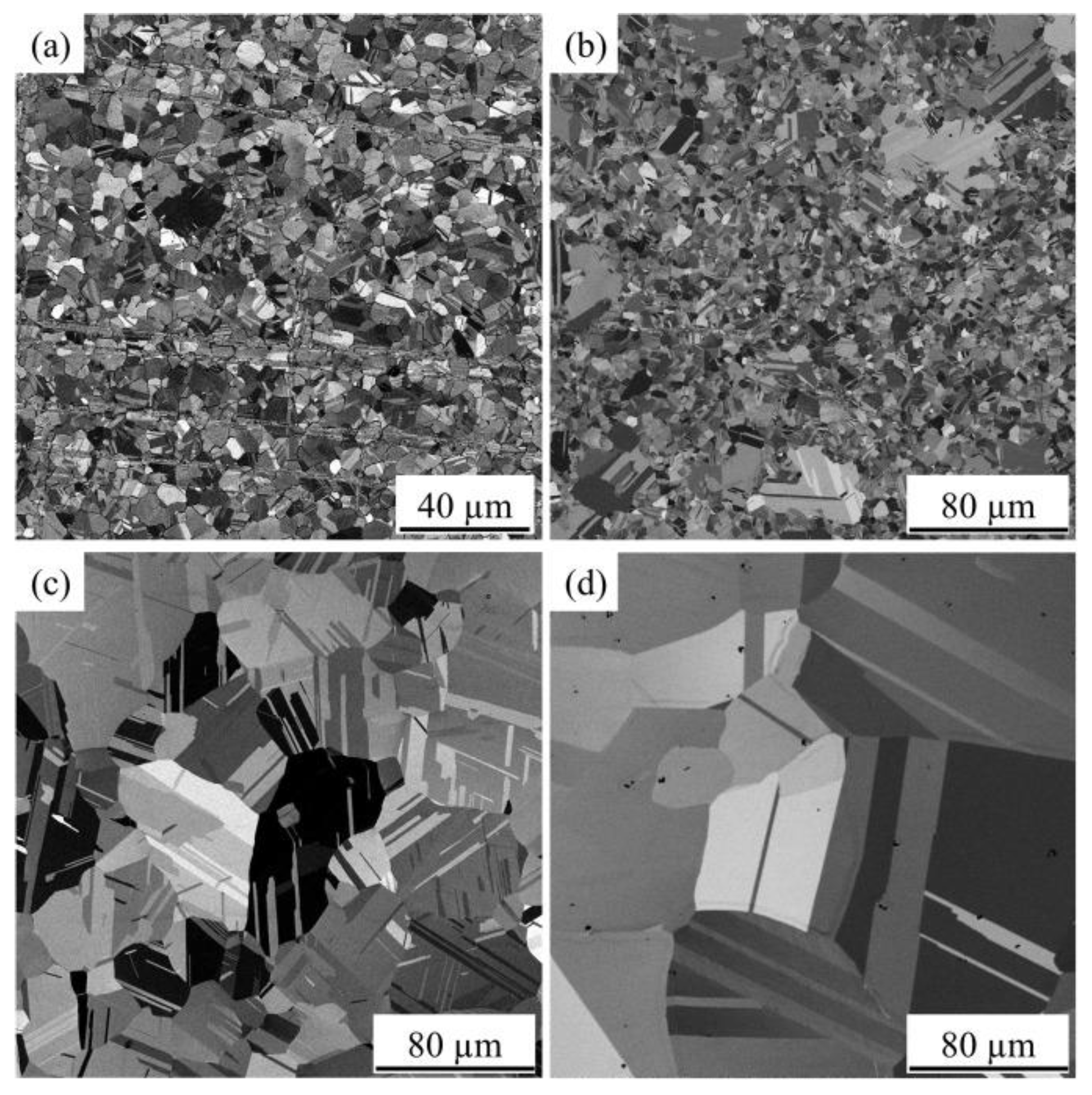 Micromachines 14 02129 g007
