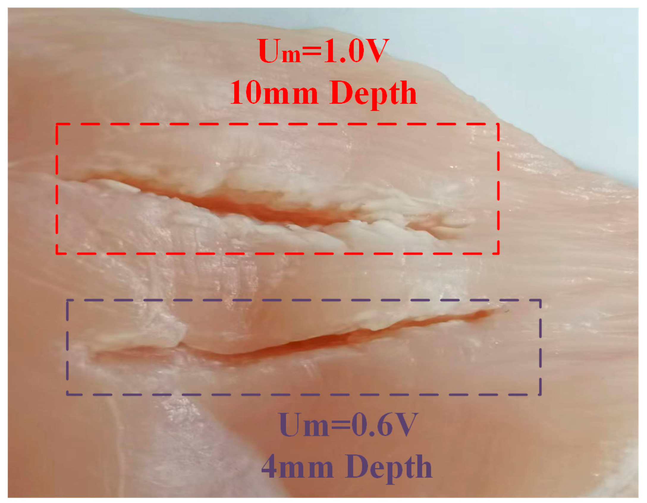 Micromachines 14 02147 g014