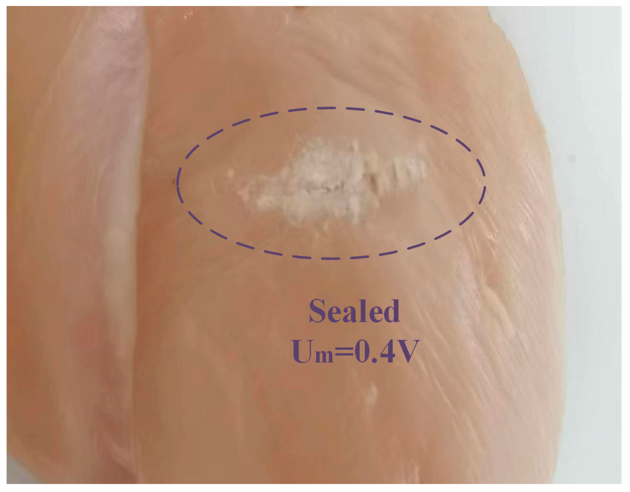 Micromachines 14 02147 g015