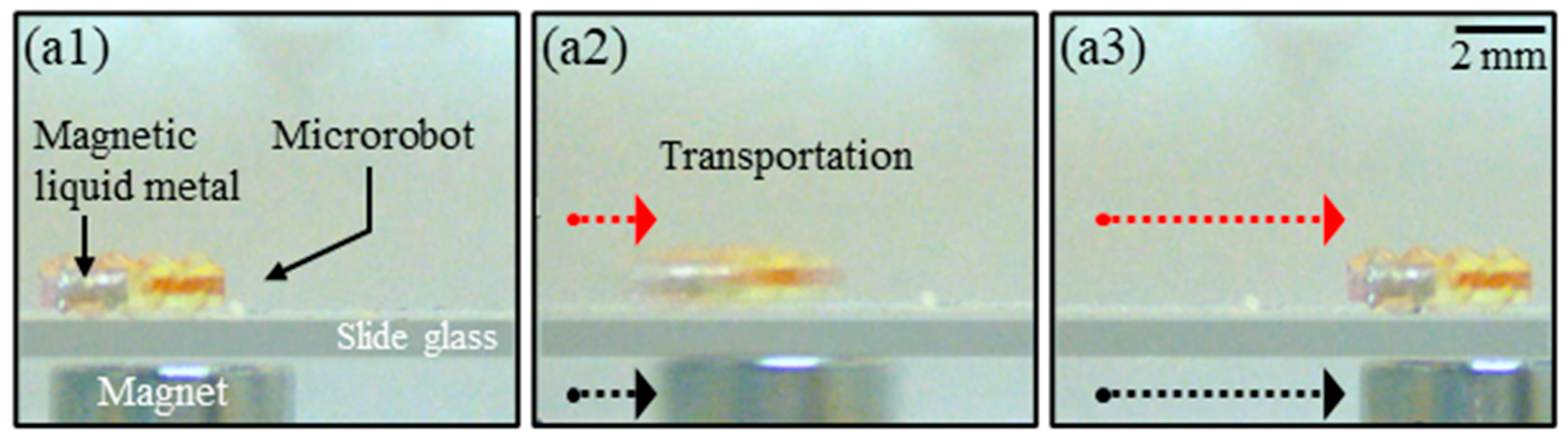Micromachines 14 02169 g010