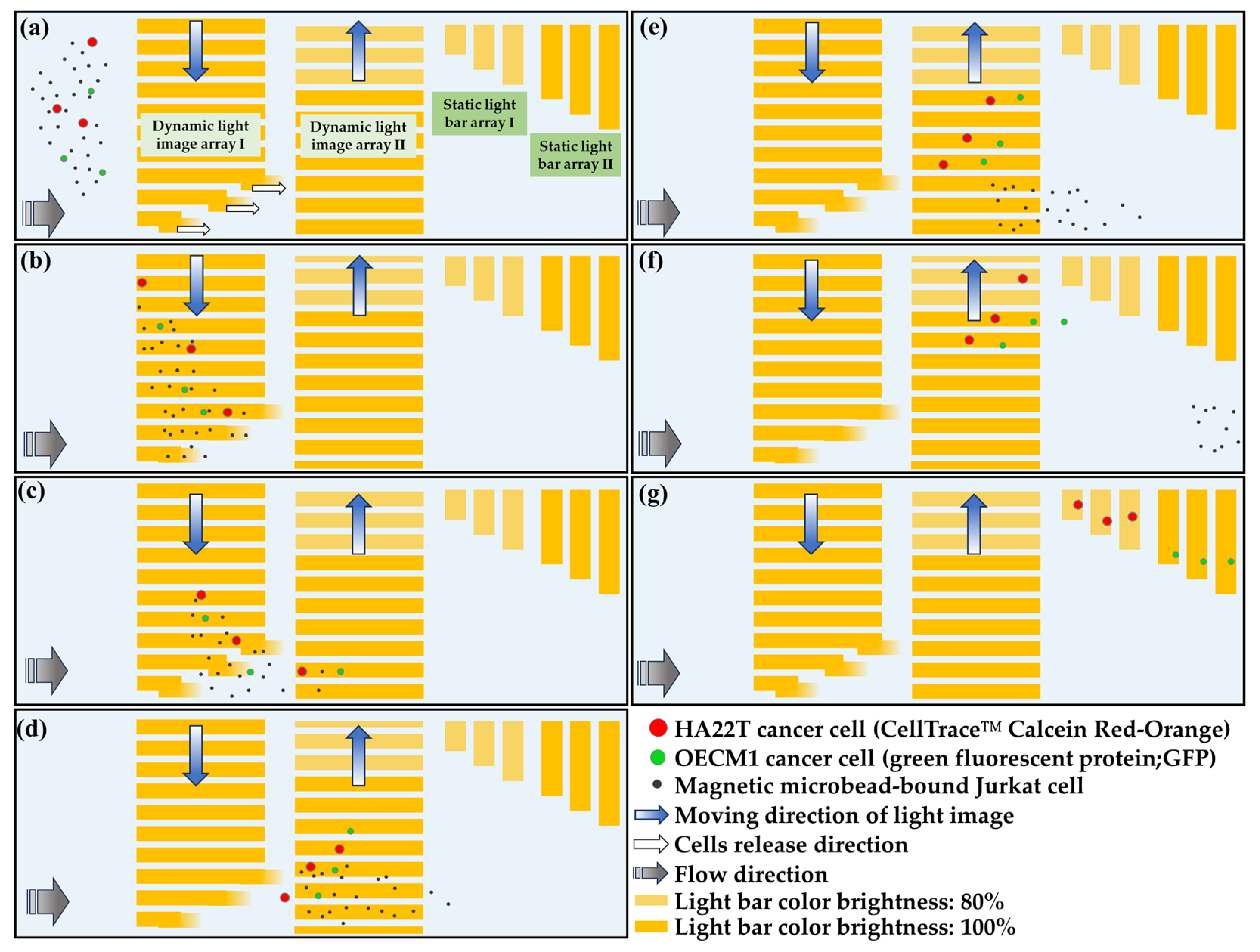 Micromachines 14 02170 g002