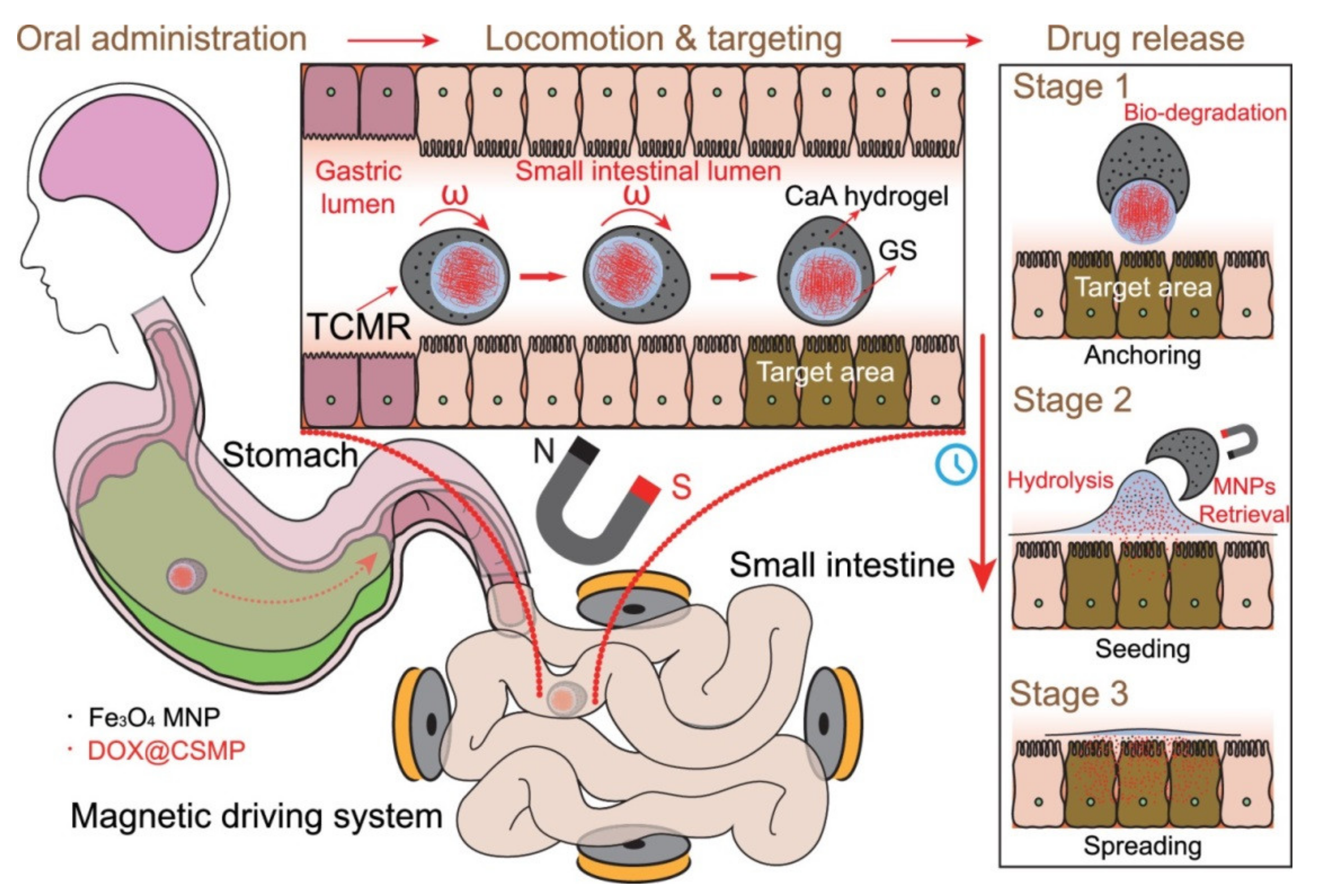 Micromachines 14 02173 g005