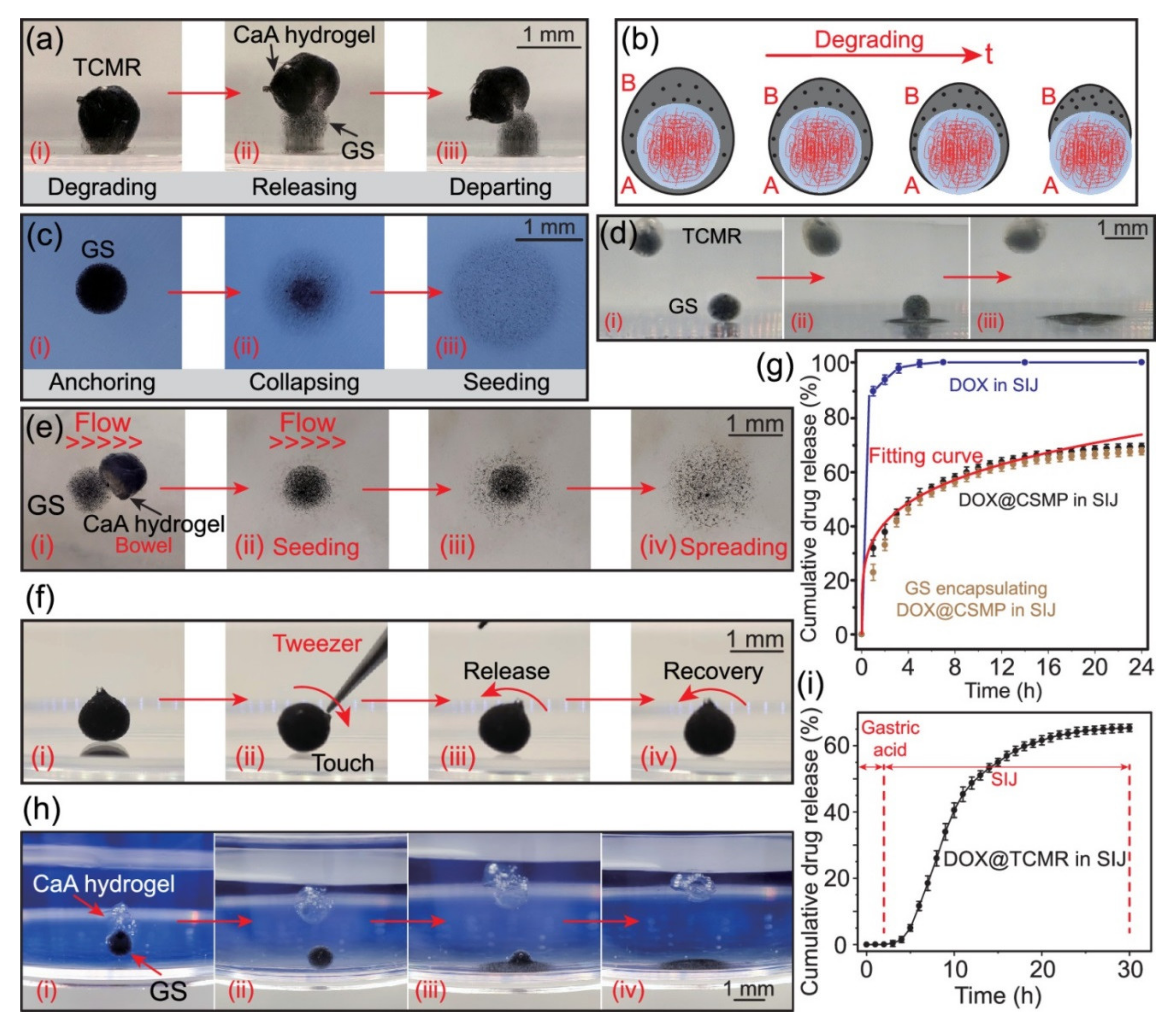 Micromachines 14 02173 g006