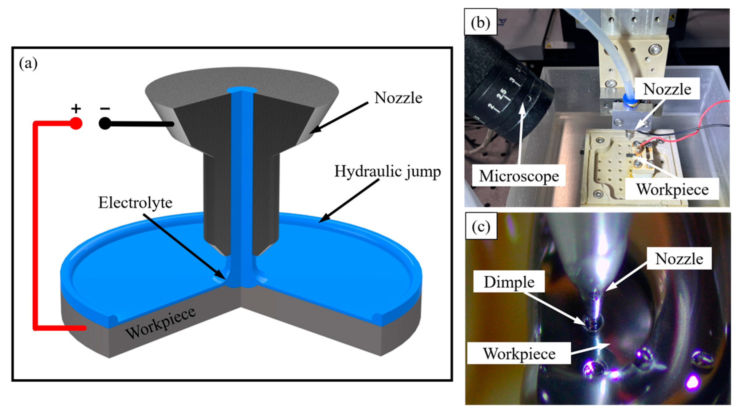 Micromachines 14 02196 g001