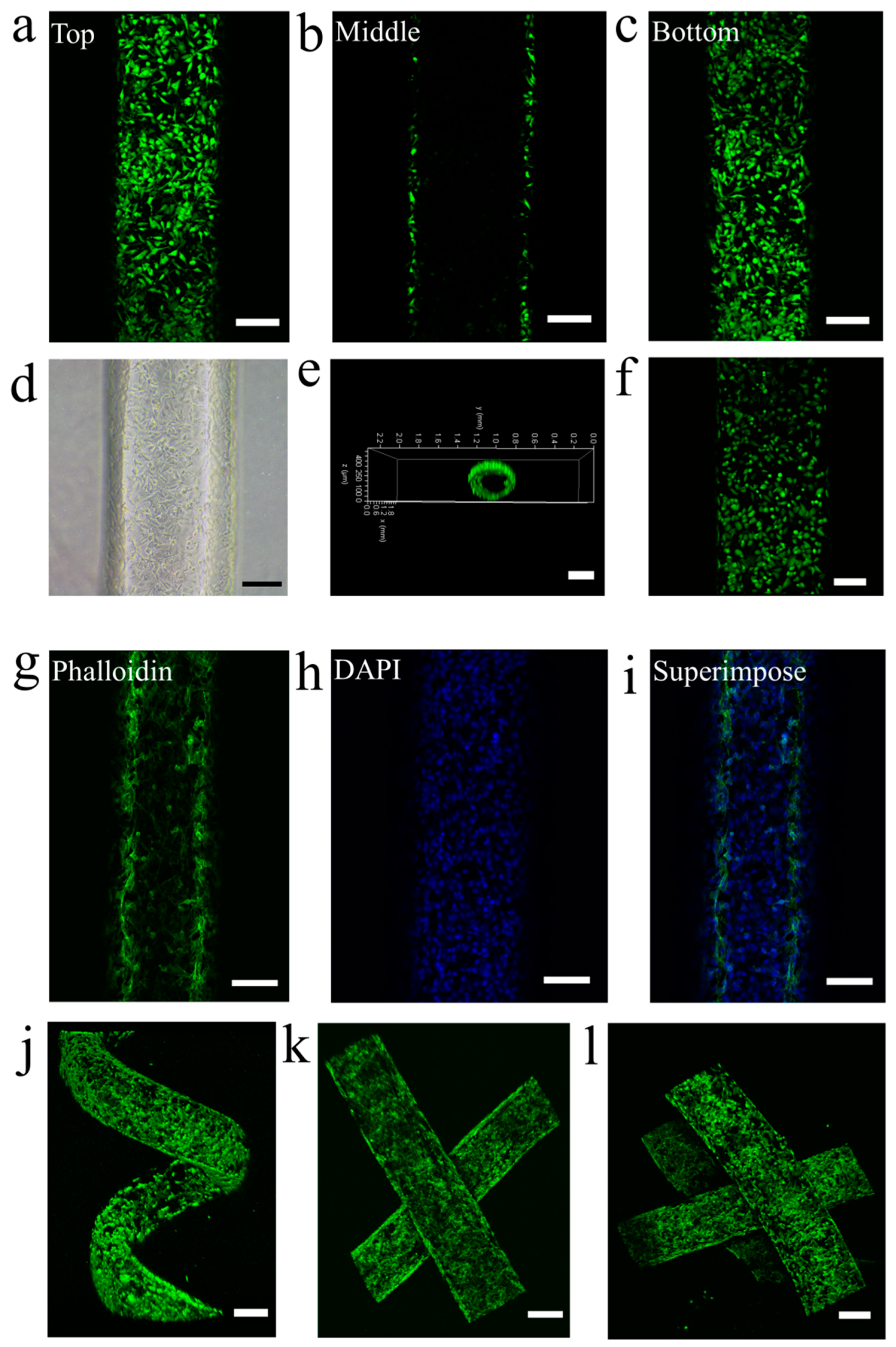 Micromachines 14 02201 g005