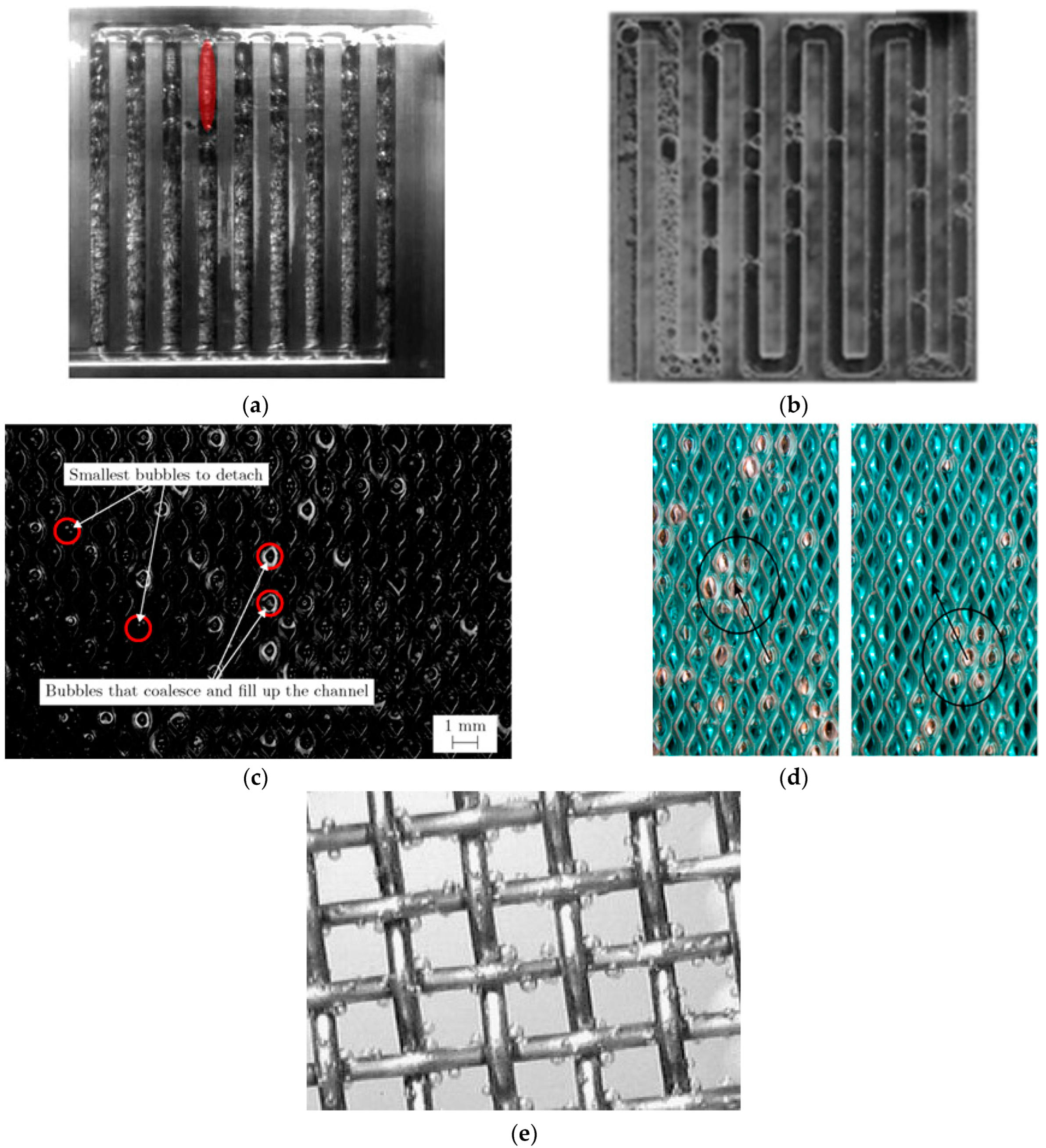 Micromachines 14 02234 g012