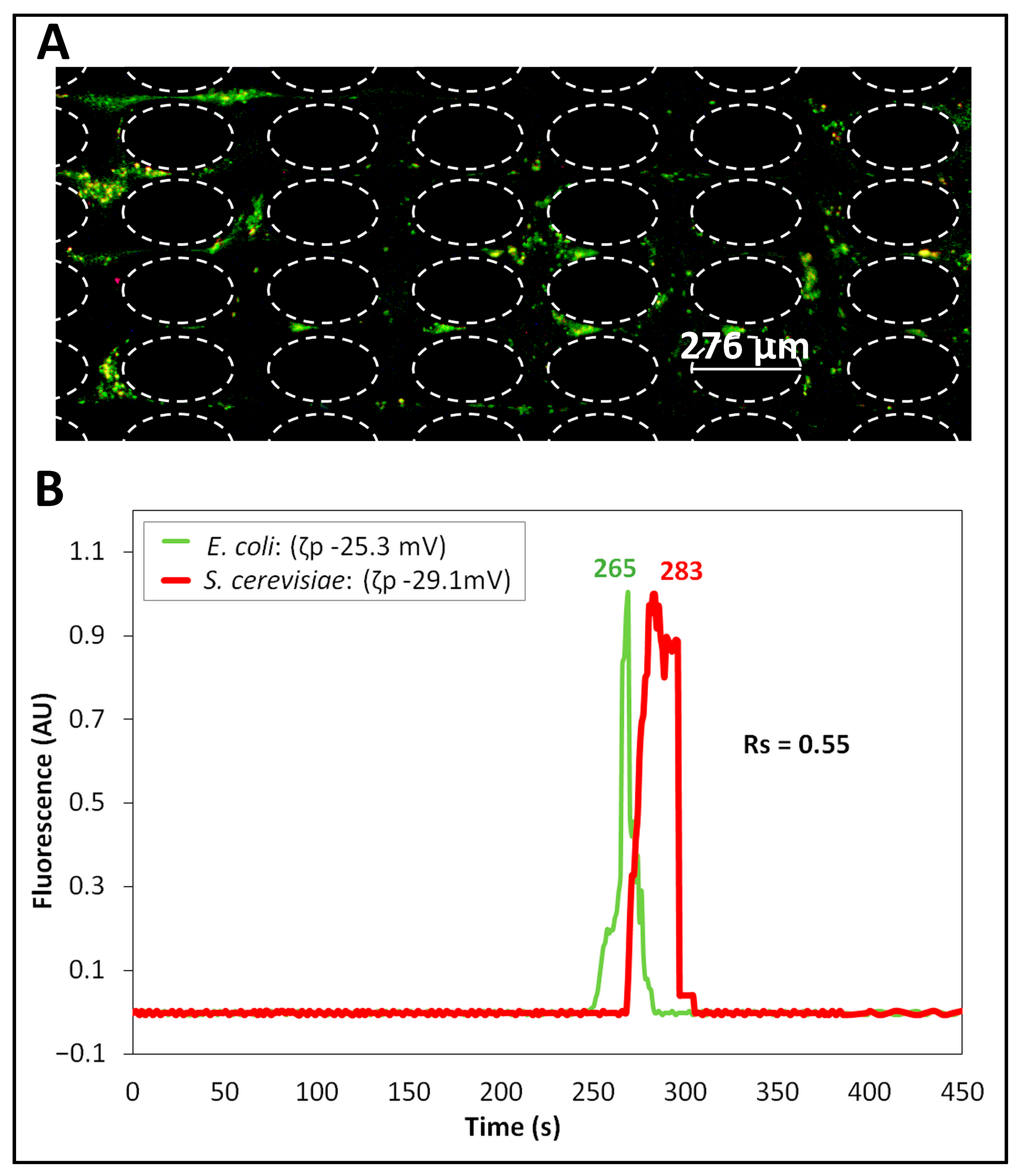 Micromachines 14 02239 g002 Micromachines 14 02239 g002