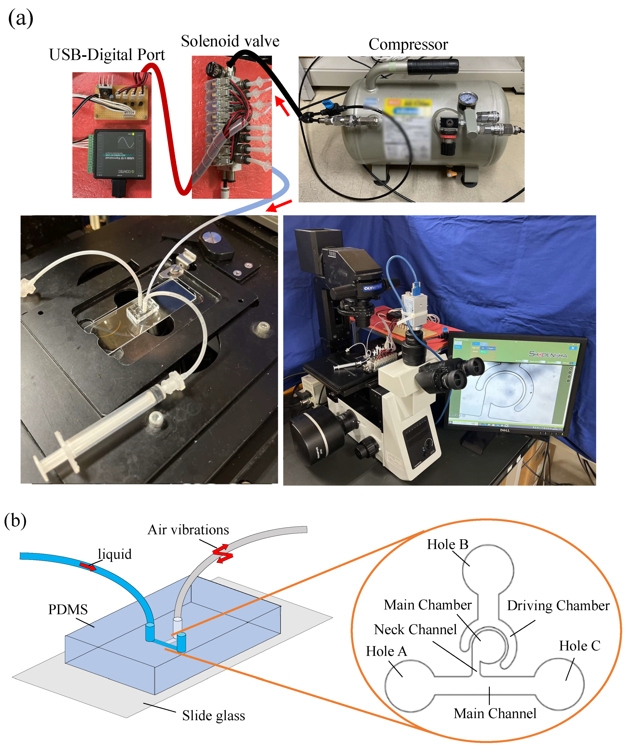 Micromachines 14 02246 g002