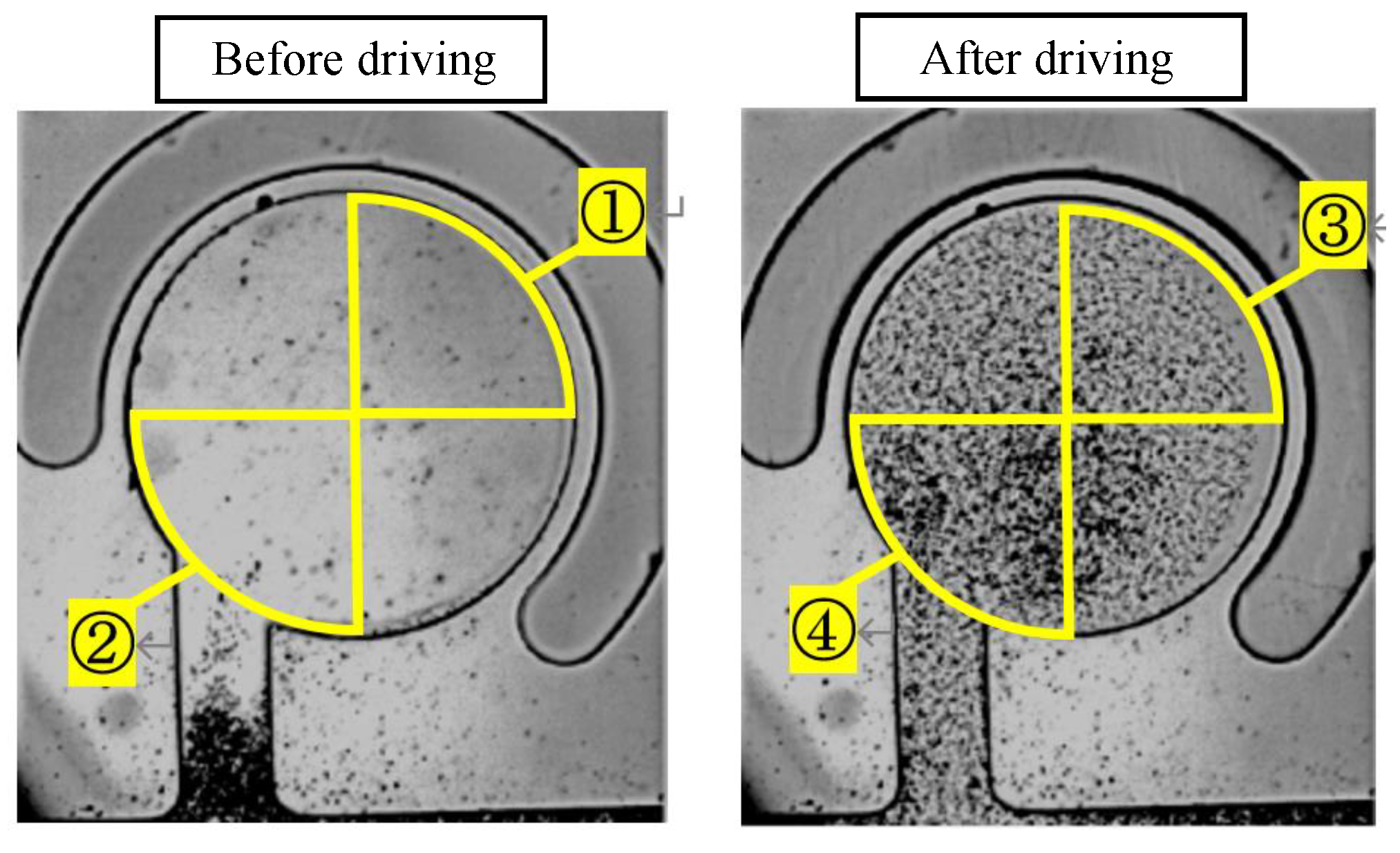 Micromachines 14 02246 g005