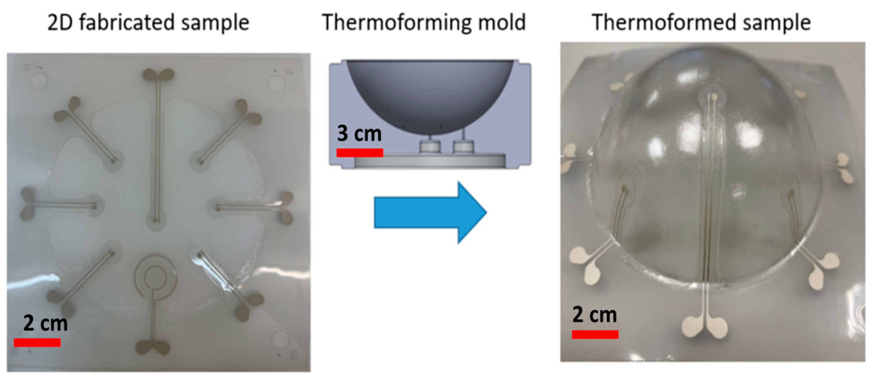 Micromachines 14 02248 g013