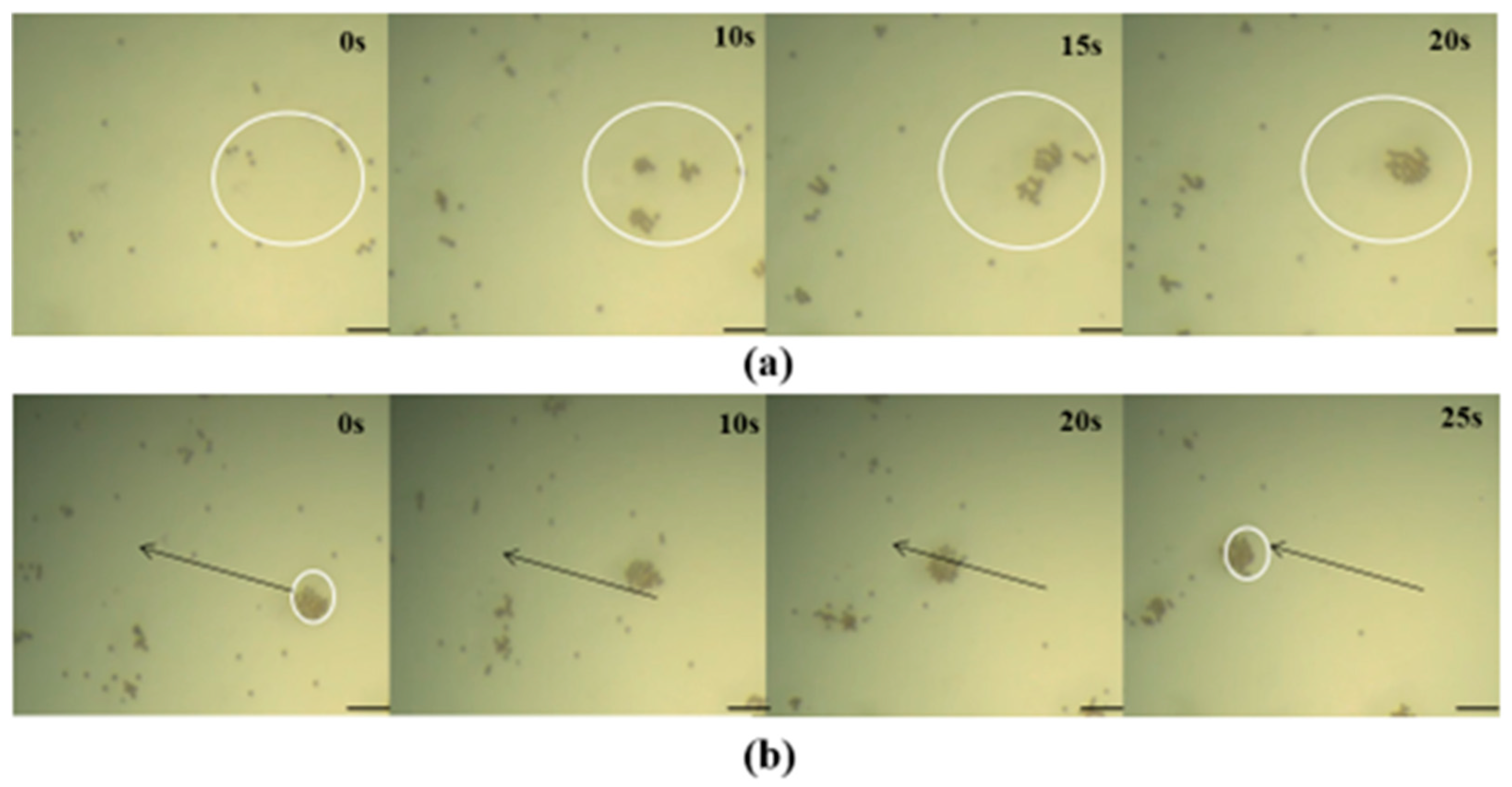 Micromachines 14 02252 g004