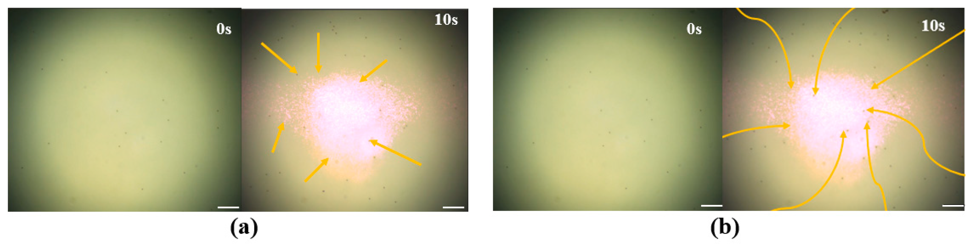 Micromachines 14 02252 g005