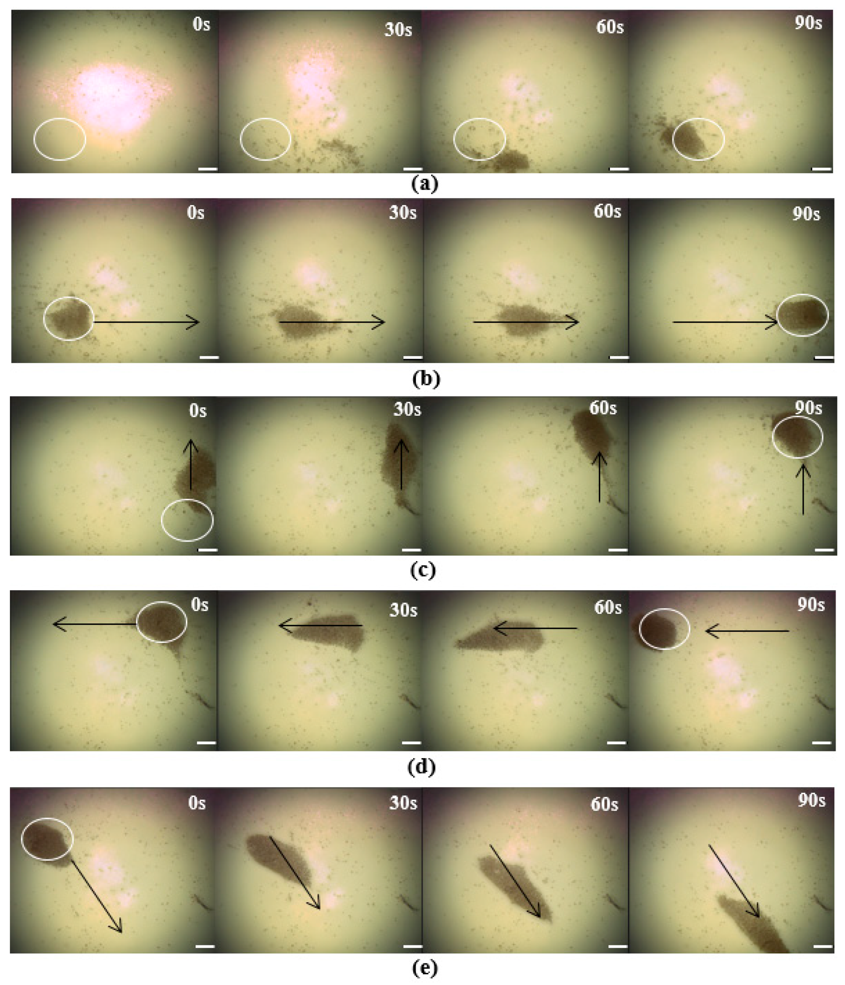 Micromachines 14 02252 g006