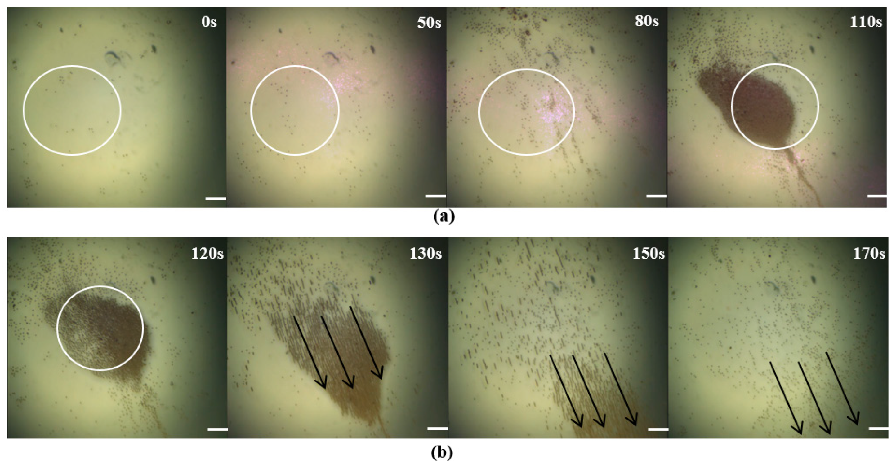 Micromachines 14 02252 g007