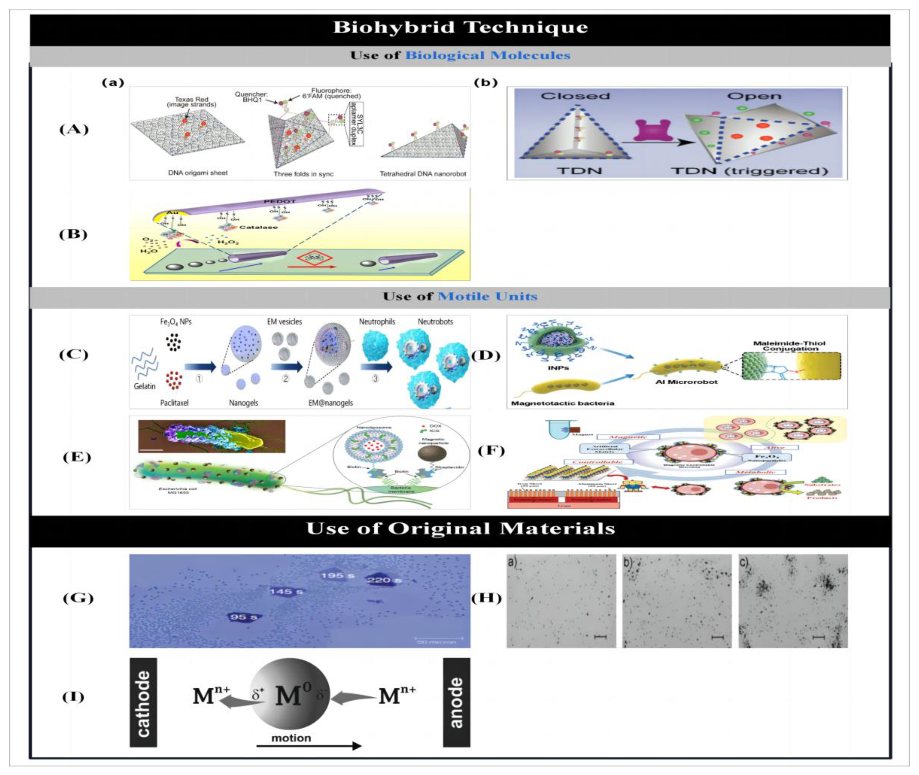 Micromachines 14 02253 g008