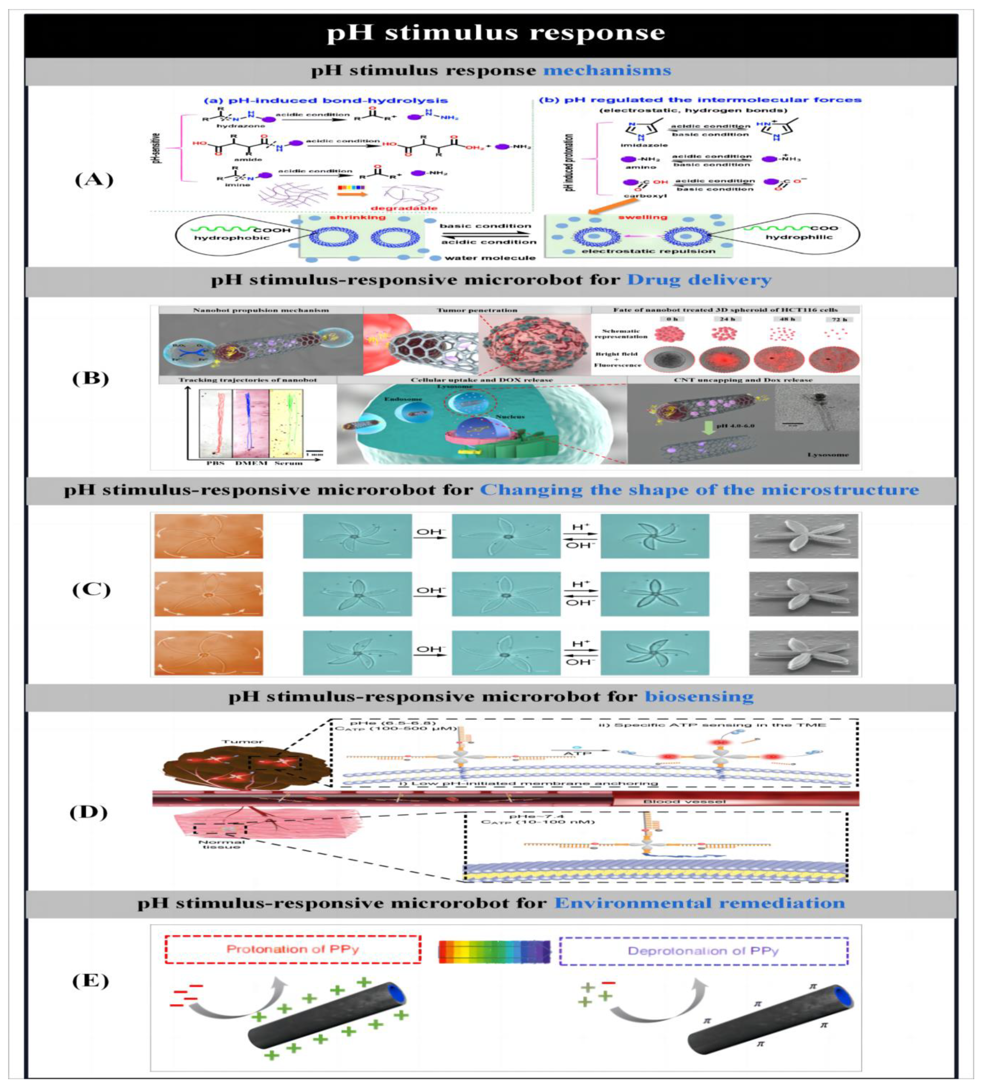 Micromachines 14 02253 g012