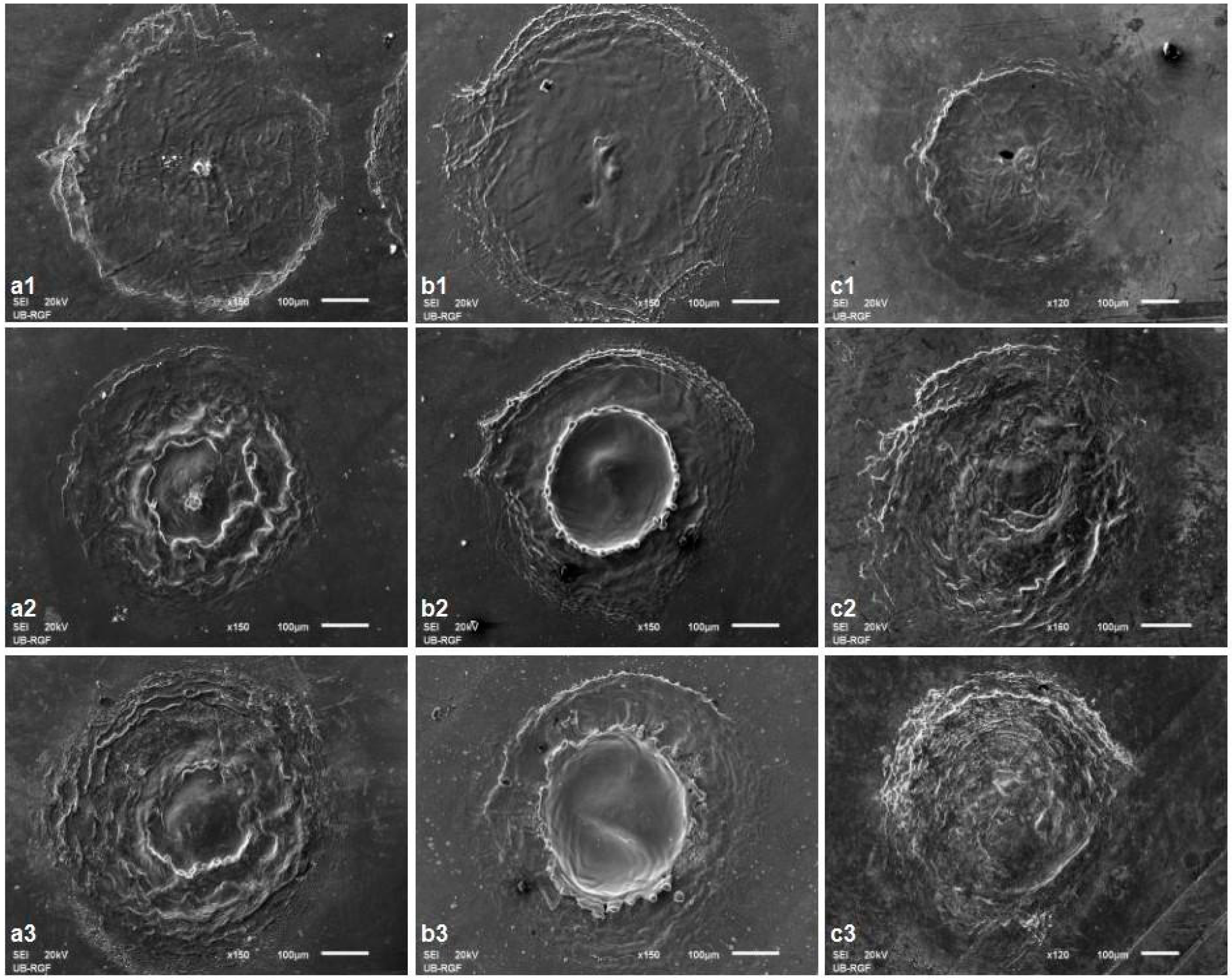 Micromachines 15 00005 g006