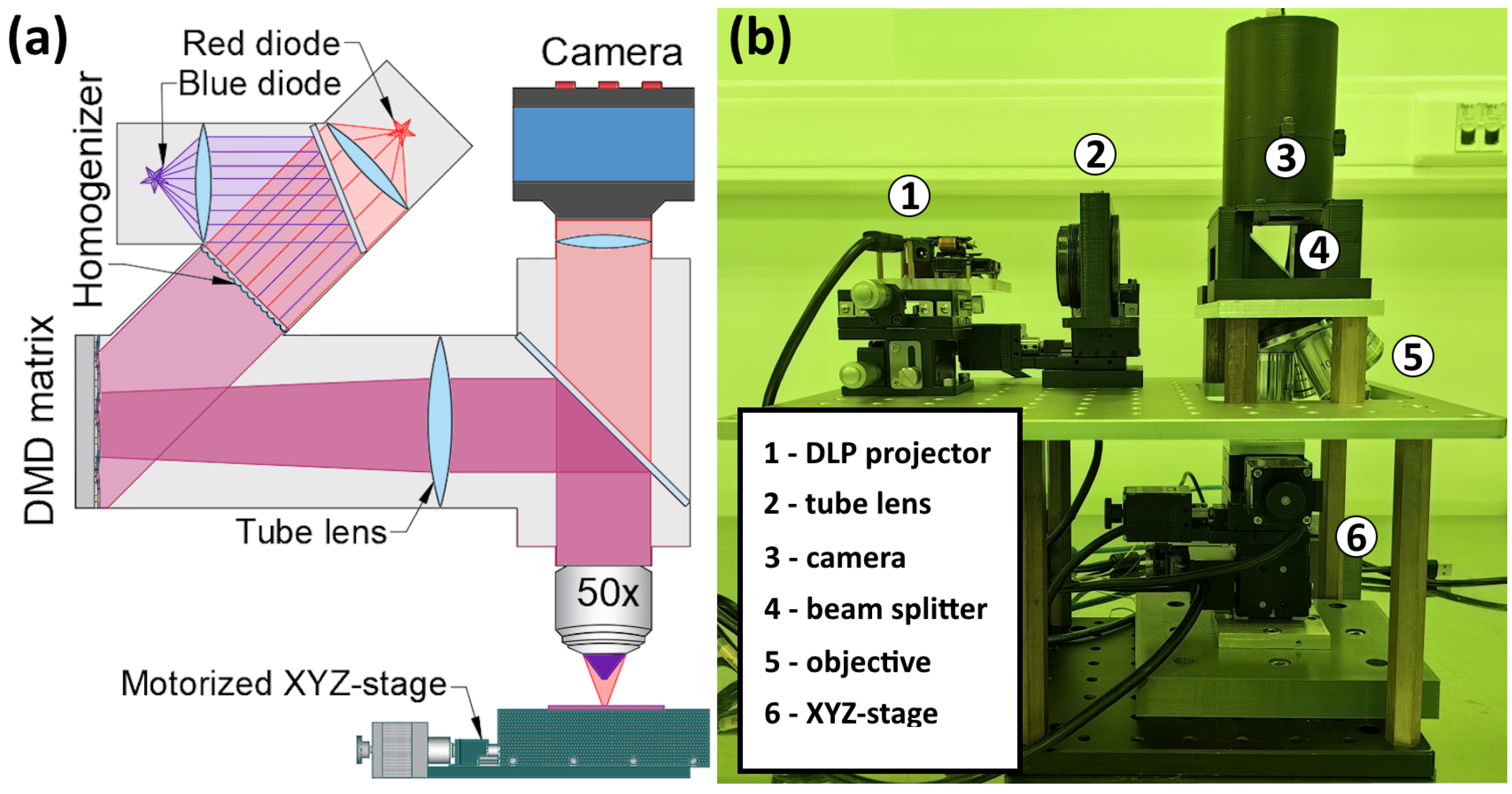 Micromachines 15 00039 g001