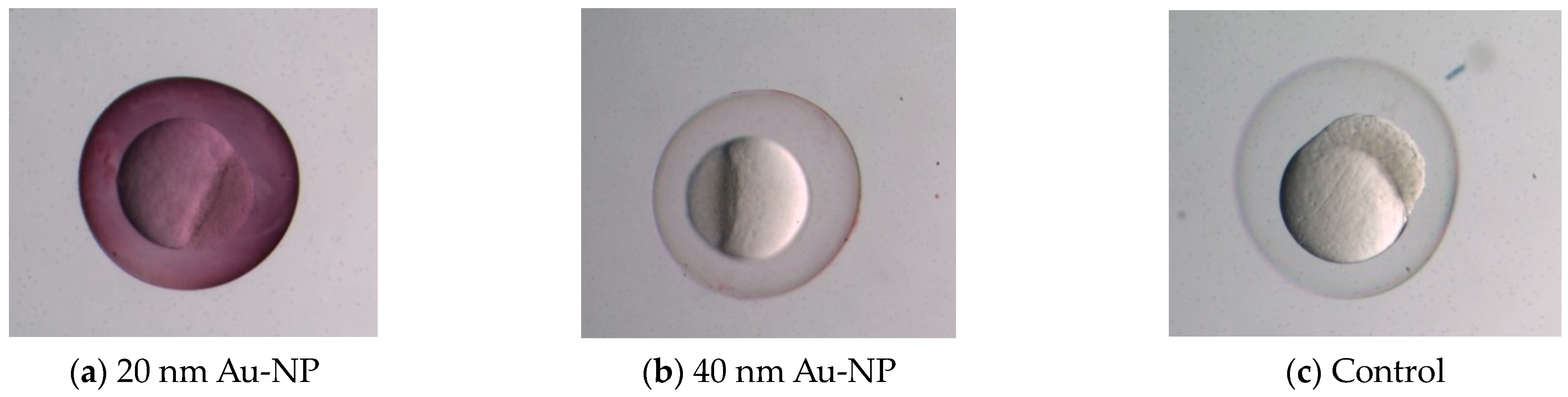 Micromachines 15 00049 g004
